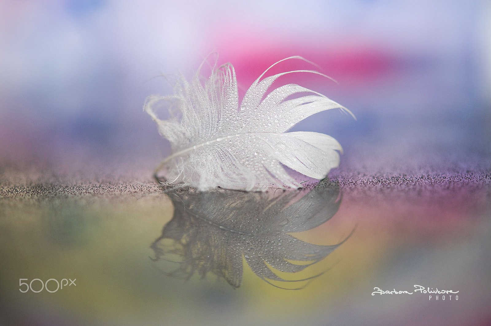 Nikon AF-S Micro-Nikkor 60mm F2.8G ED sample photo. Serenity photography
