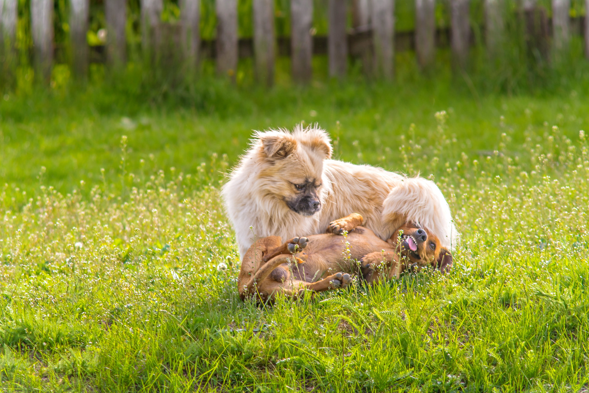 Nikon D7100 + AF Zoom-Nikkor 70-210mm f/4 sample photo. Friends photography
