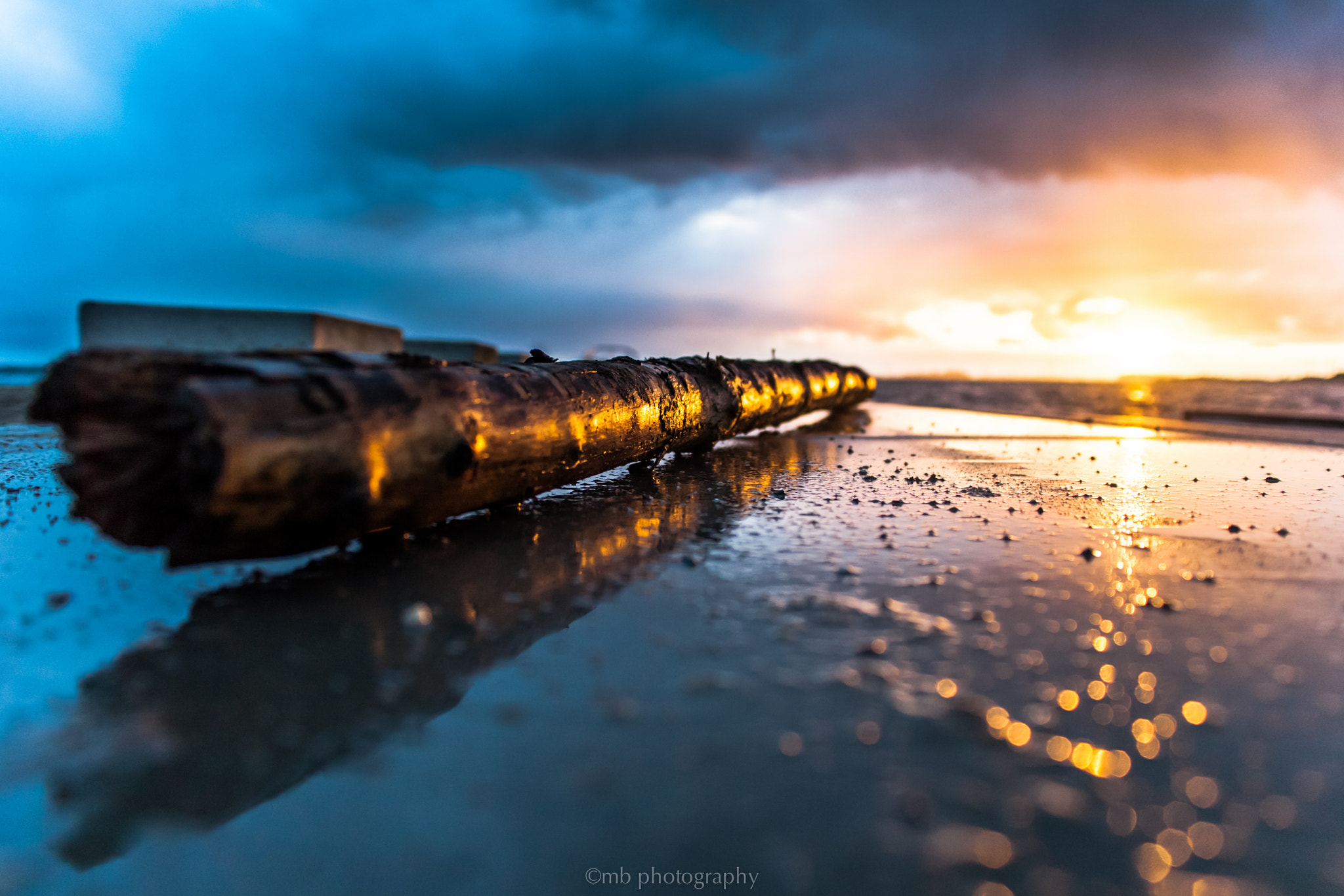 Canon EOS 5D + Sigma 24-70mm F2.8 EX DG Macro sample photo. Sunwood photography