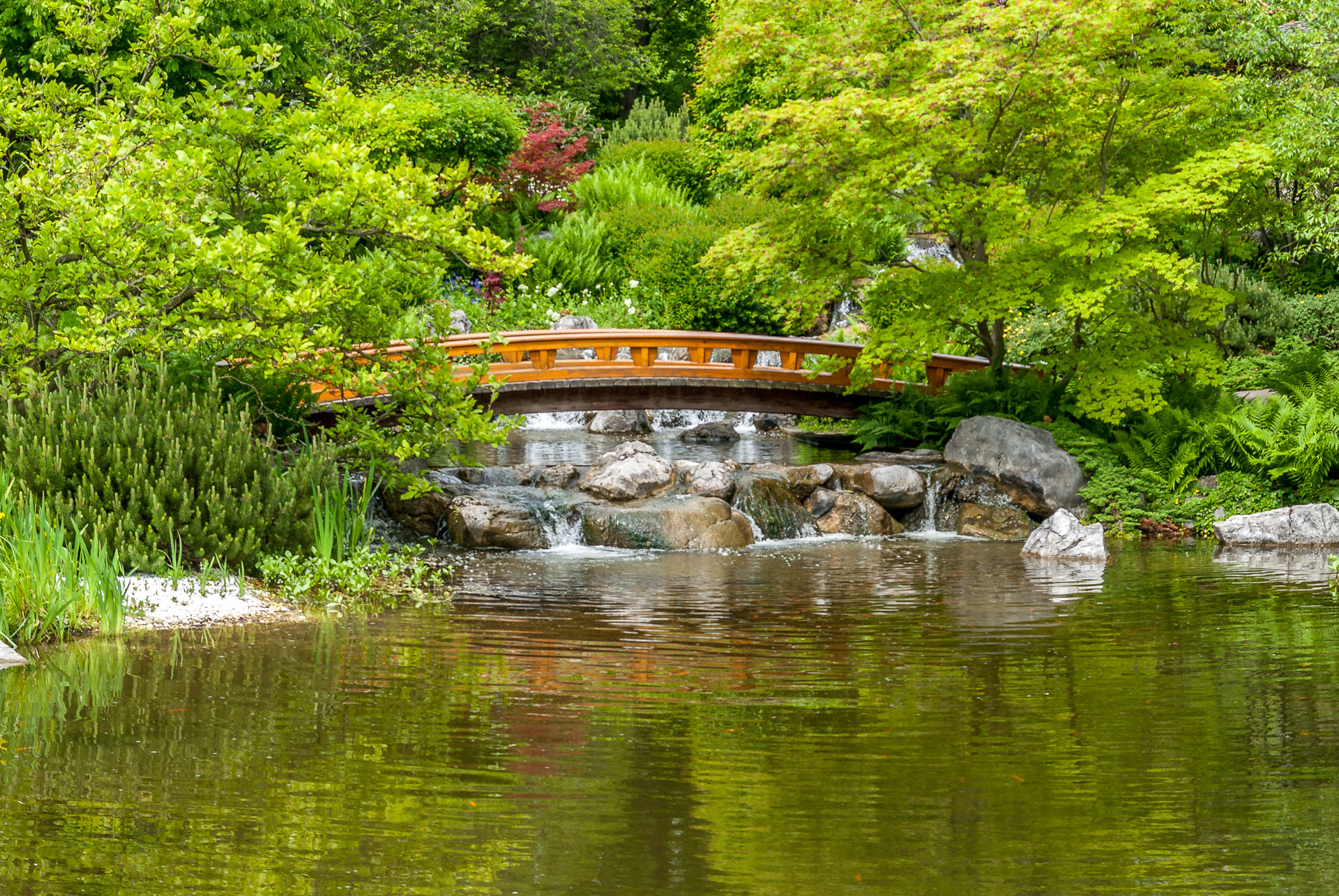 Pentax K200D sample photo. Bridge photography