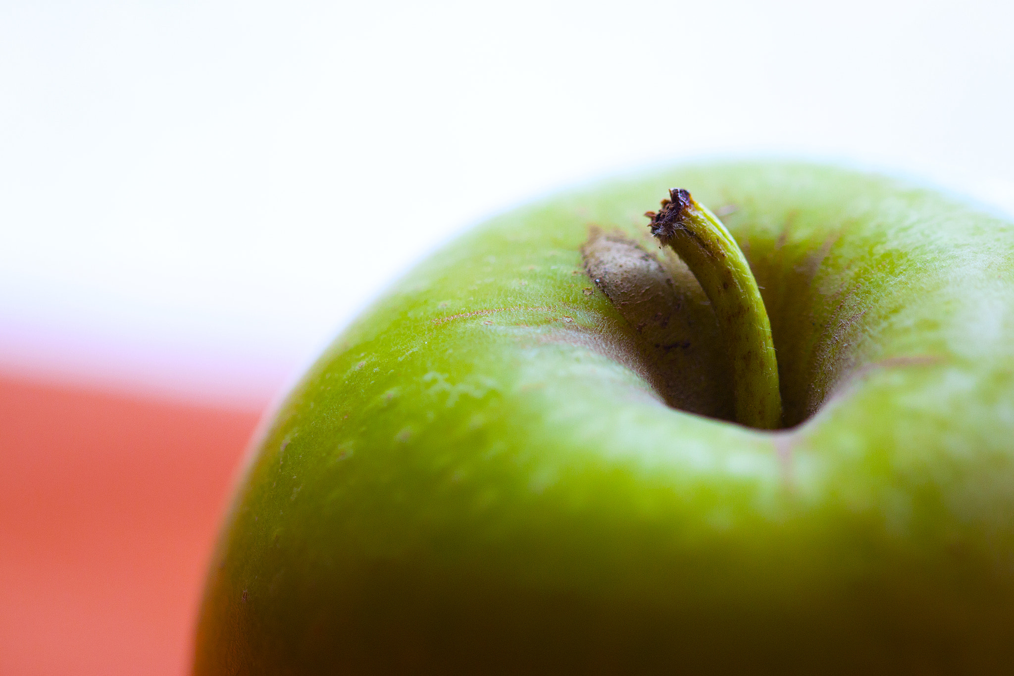 Sigma 105mm F2.8 EX DG OS HSM sample photo. Manzana photography