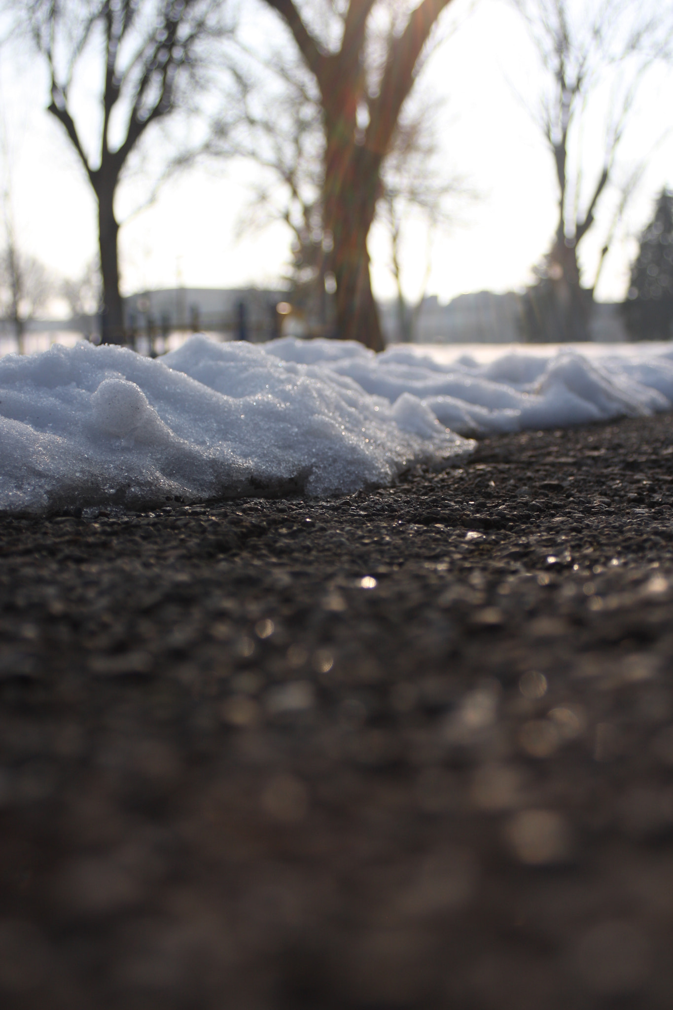 Canon EF 28-90mm f/4-5.6 sample photo. Park photography