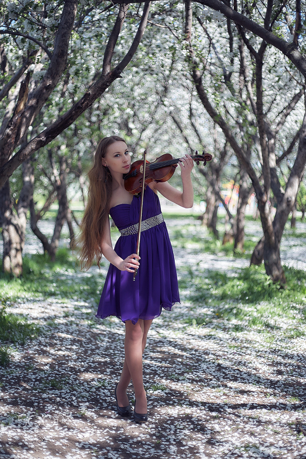 Canon EOS 5D + Canon EF 50mm f/1.8 sample photo. Музыка цветущих садов photography