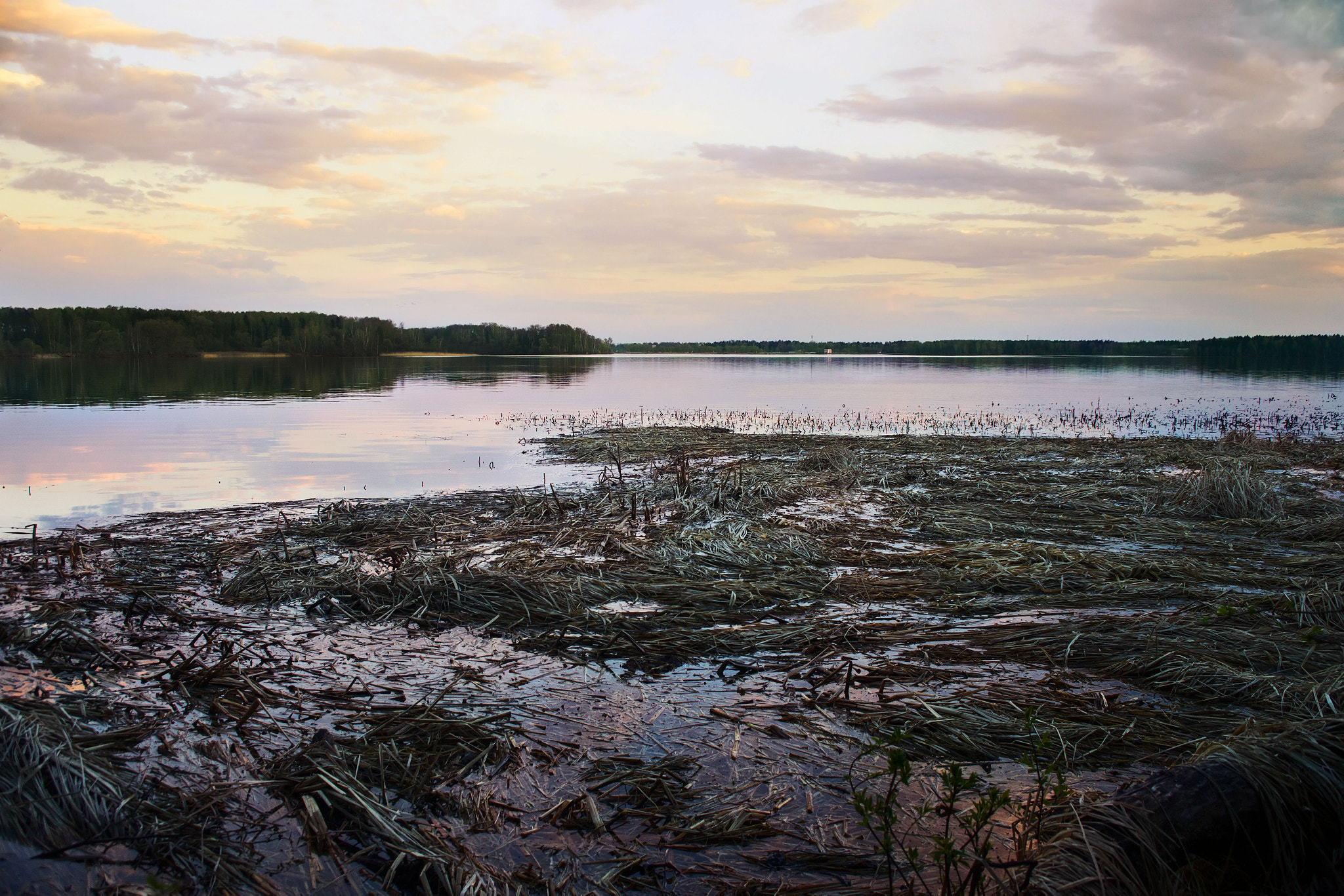 Canon EOS 5D Mark II + Canon EF 28-70mm f/3.5-4.5 sample photo. Pastel sunset photography