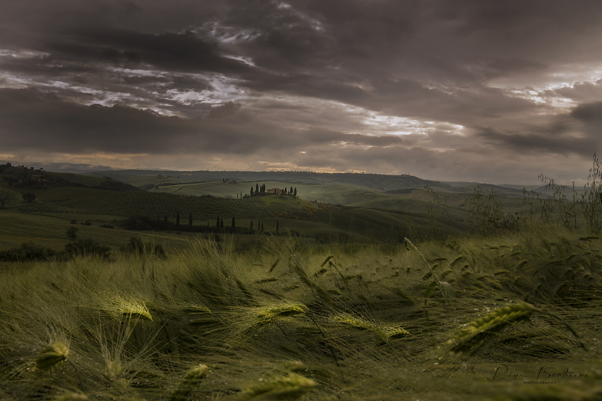 Canon EF 16-35mm F2.8L II USM sample photo. Tuscan awakening photography