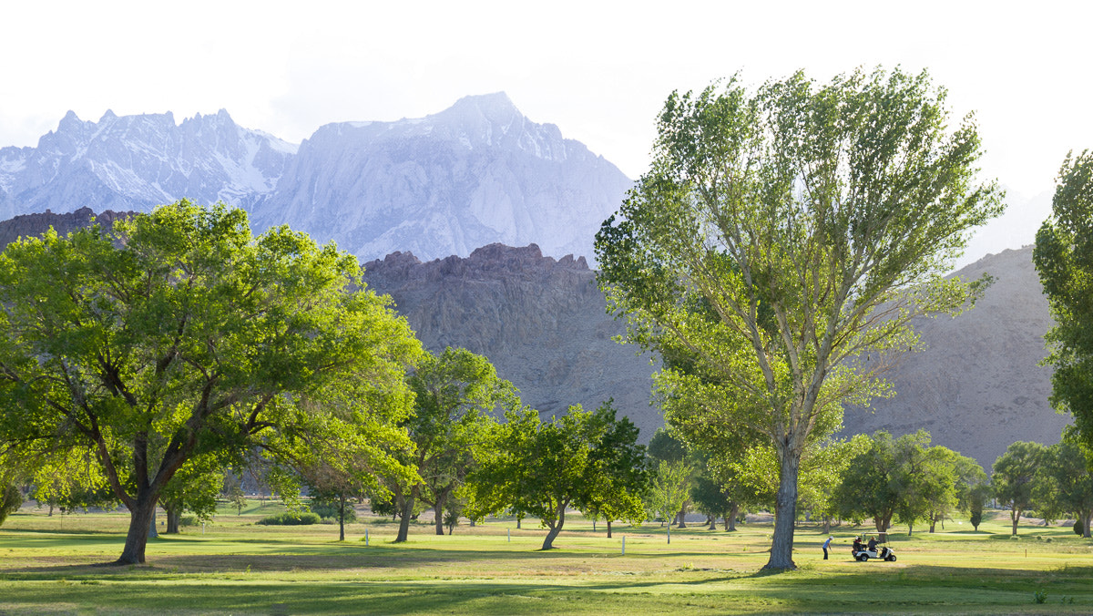 Olympus E-620 (EVOLT E-620) + OLYMPUS 14-54mm Lens sample photo. Golf in owens valley photography