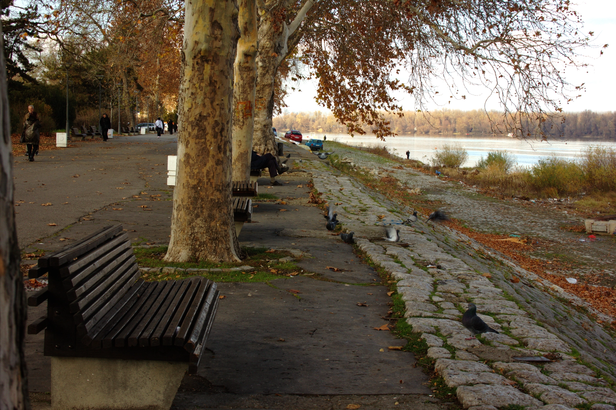 Canon EF-S 18-55mm F3.5-5.6 sample photo. Daydreams on the danube photography