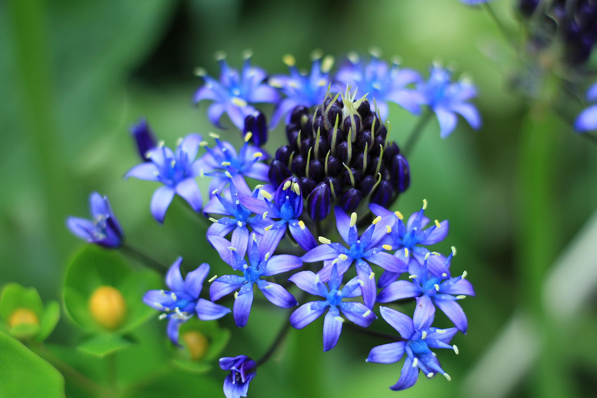 Canon EOS M + Canon EF 50mm F1.8 STM sample photo