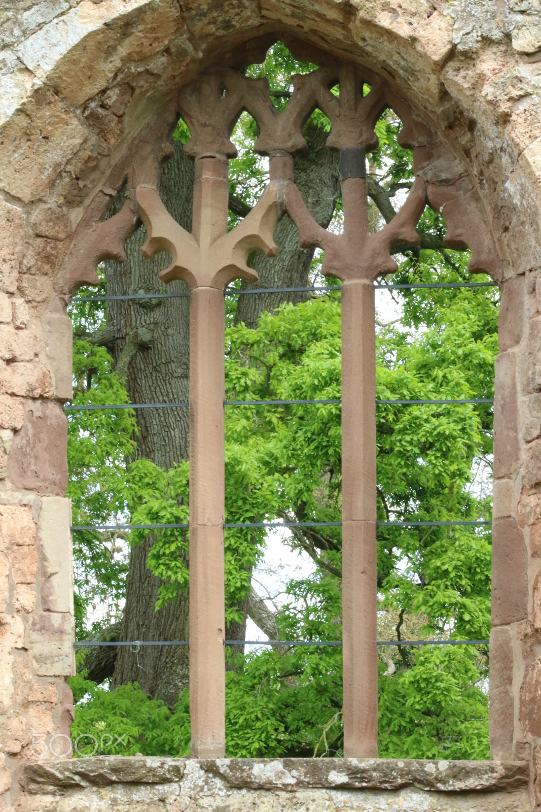 EF75-300mm f/4-5.6 sample photo. Brockhampton ruins.jpg photography
