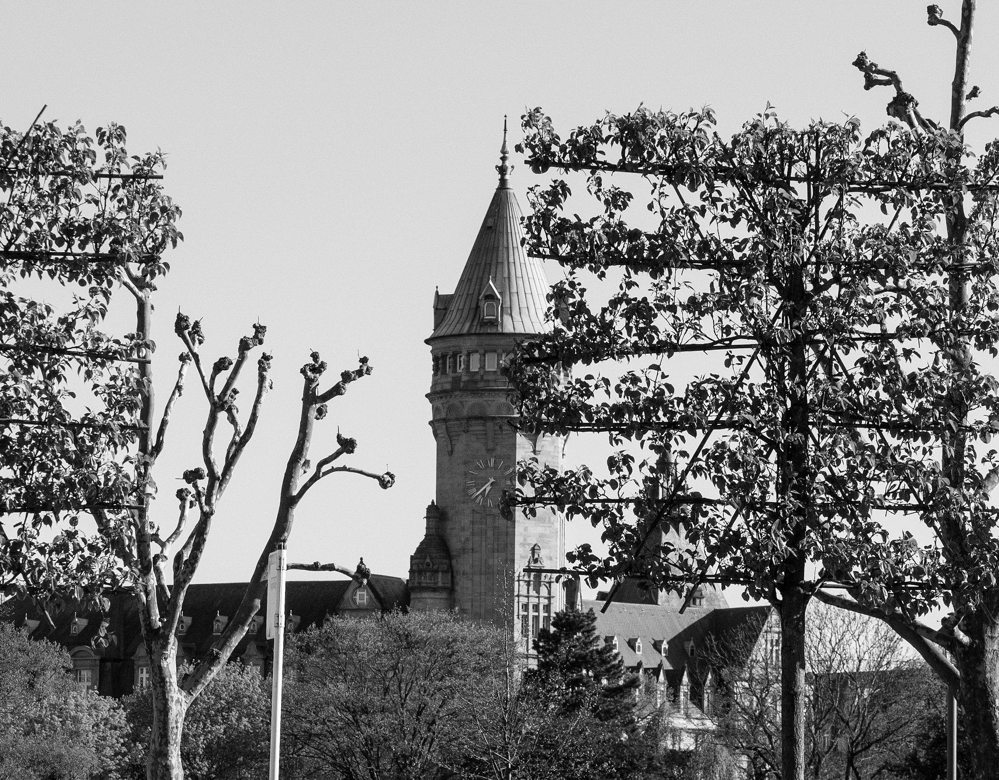 Olympus PEN E-PL7 sample photo. Times are gray... photography