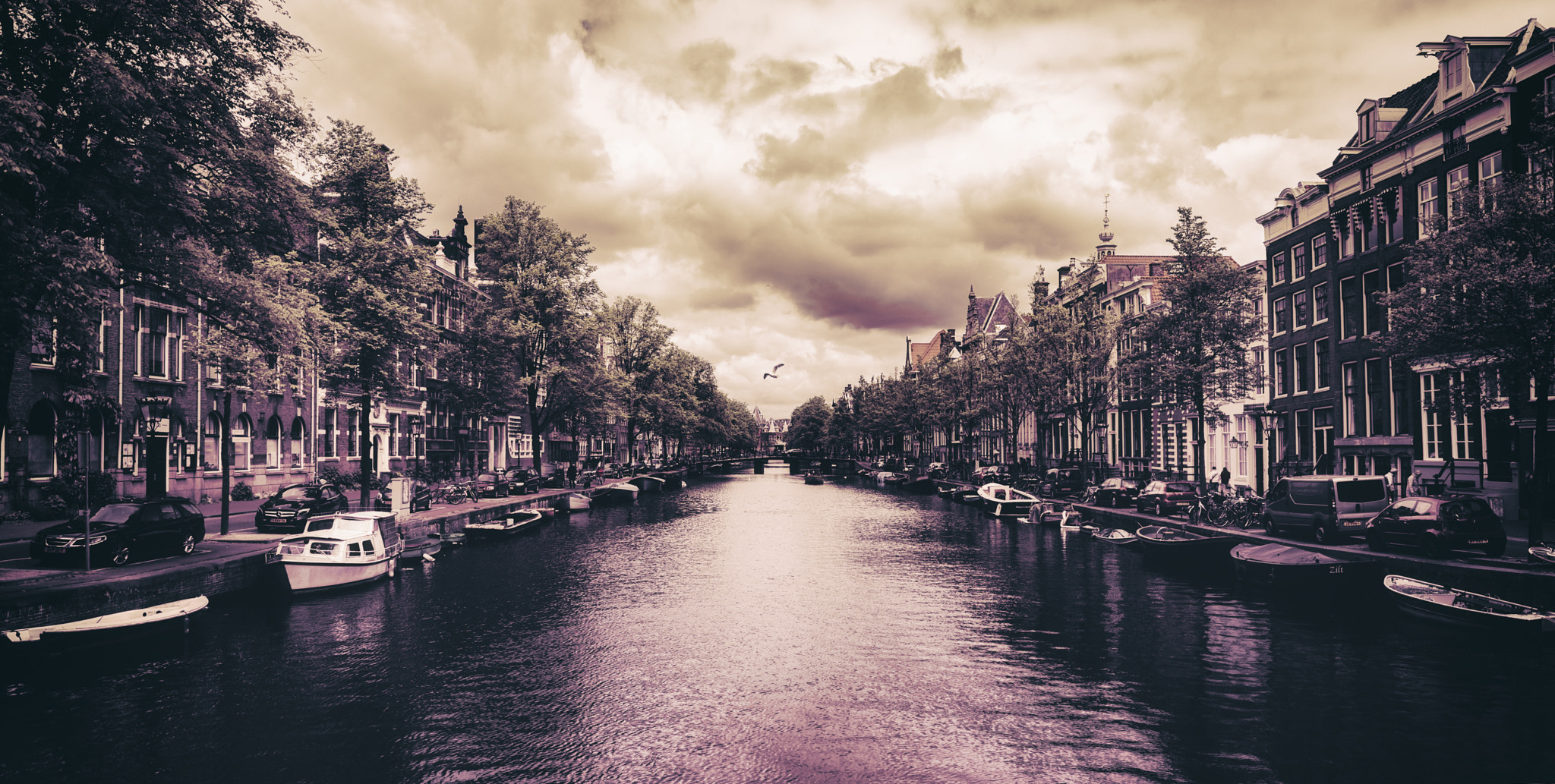 Sony a7R + ZEISS Batis 25mm F2 sample photo. Amsterdam 04 - seagull photography