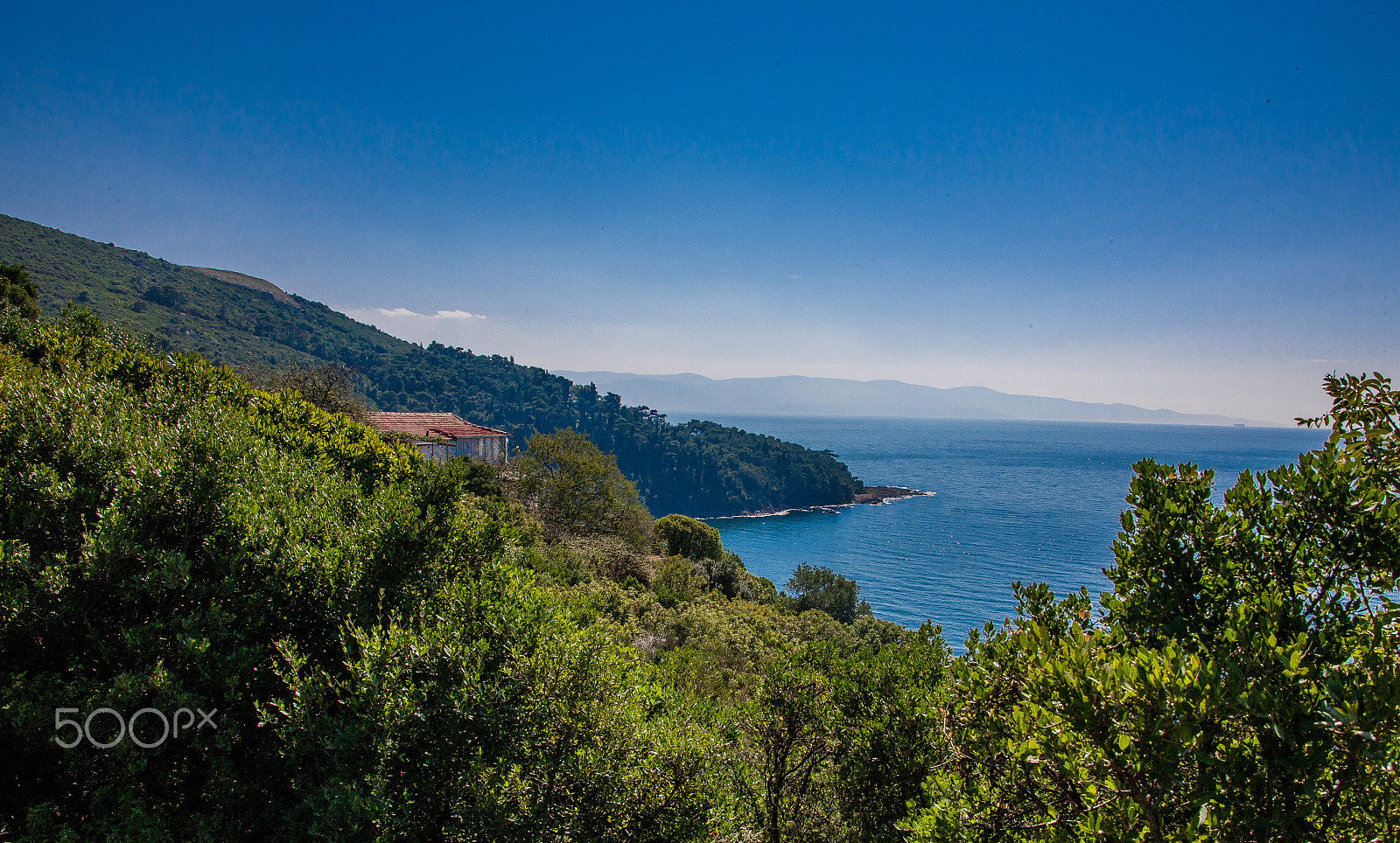 Canon EOS-1Ds Mark III sample photo. Turkey_asif photography