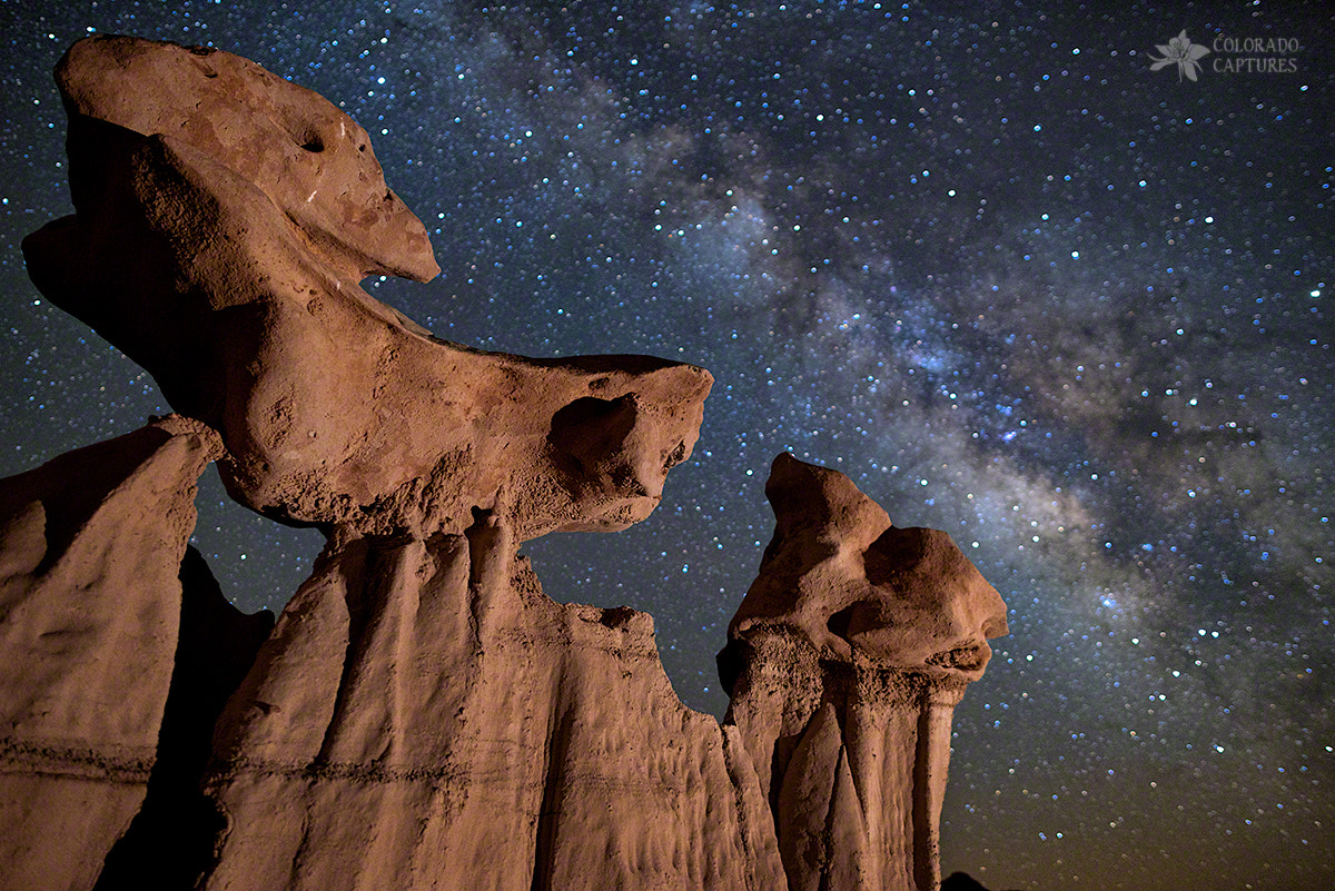 Nikon D800 + Samyang 12mm F2.8 ED AS NCS Fisheye sample photo. Balance in the bisti badlands photography