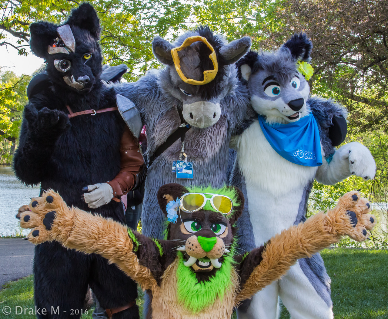 Canon EF 28-135mm F3.5-5.6 IS USM sample photo. Mnfurs 2-16 spring picnic photography