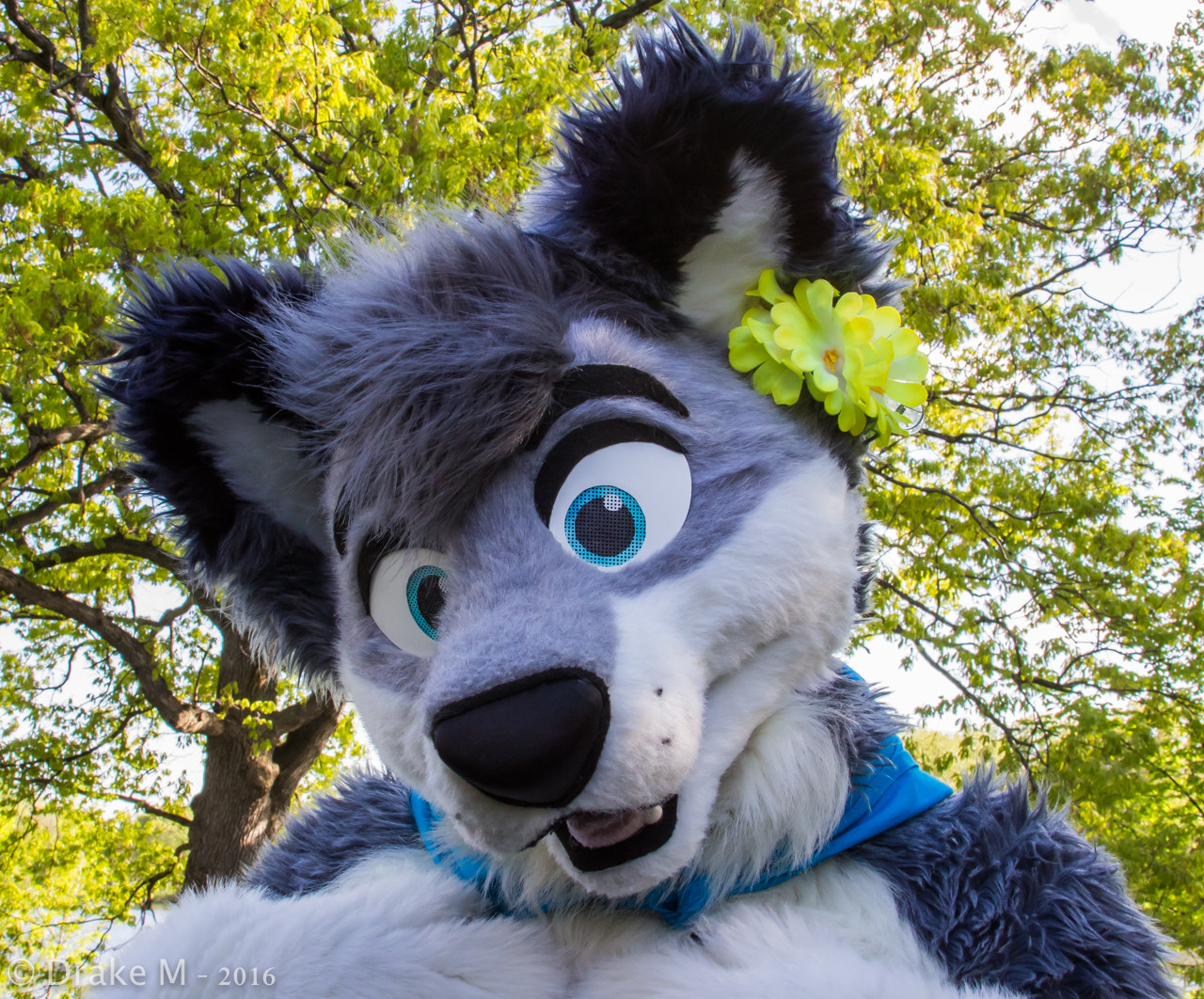 Canon EF 28-135mm F3.5-5.6 IS USM sample photo. Mnfurs 2-16 spring picnic photography