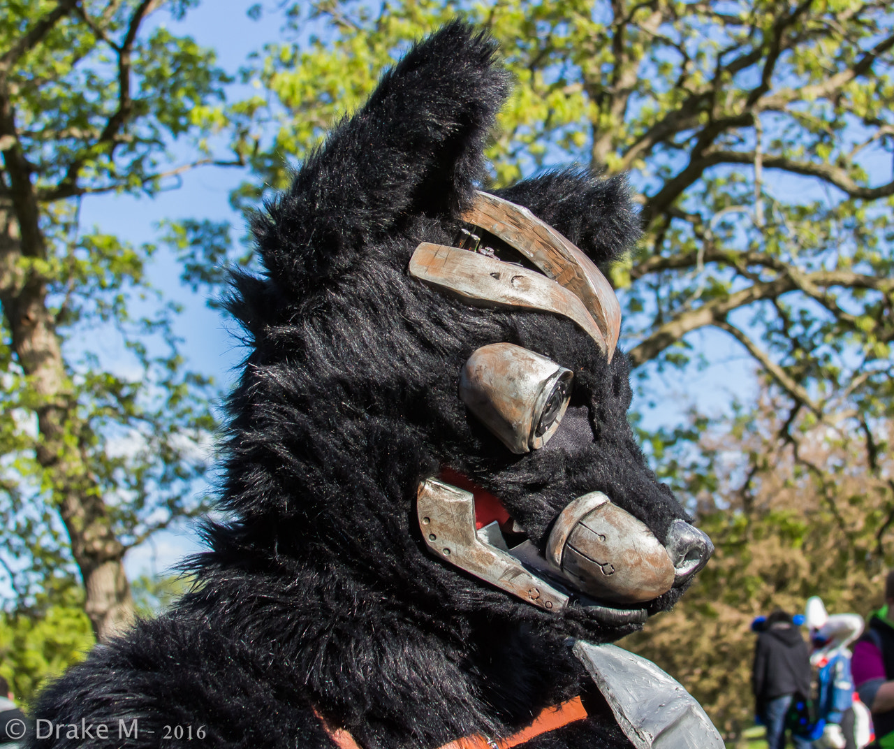 Canon EF 28-135mm F3.5-5.6 IS USM sample photo. Mnfurs 2-16 spring picnic photography