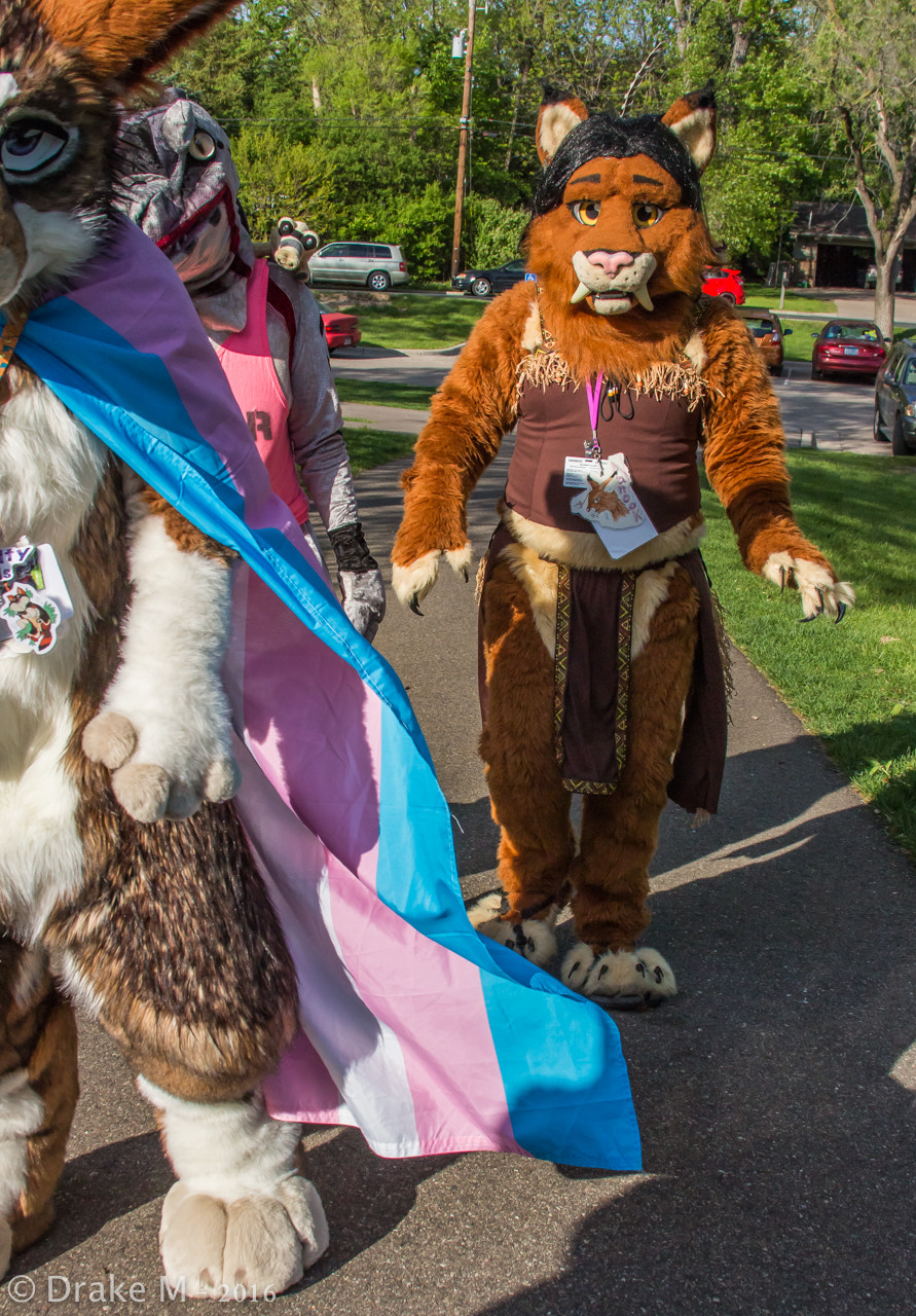 Canon EF 28-135mm F3.5-5.6 IS USM sample photo. Mnfurs 2-16 spring picnic photography