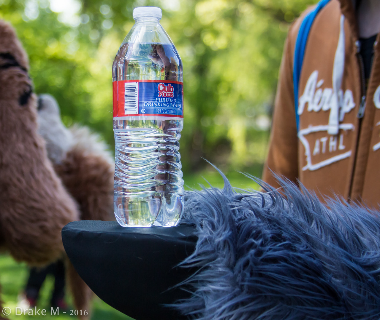 Canon EF 28-135mm F3.5-5.6 IS USM sample photo. Mnfurs 2-16 spring picnic photography