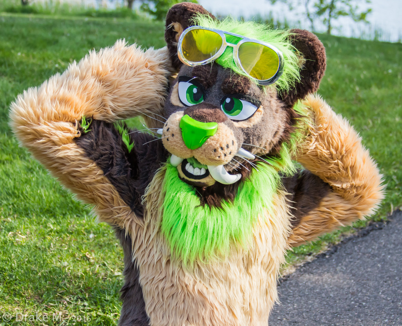 Canon EF 28-135mm F3.5-5.6 IS USM sample photo. Mnfurs 2-16 spring picnic photography