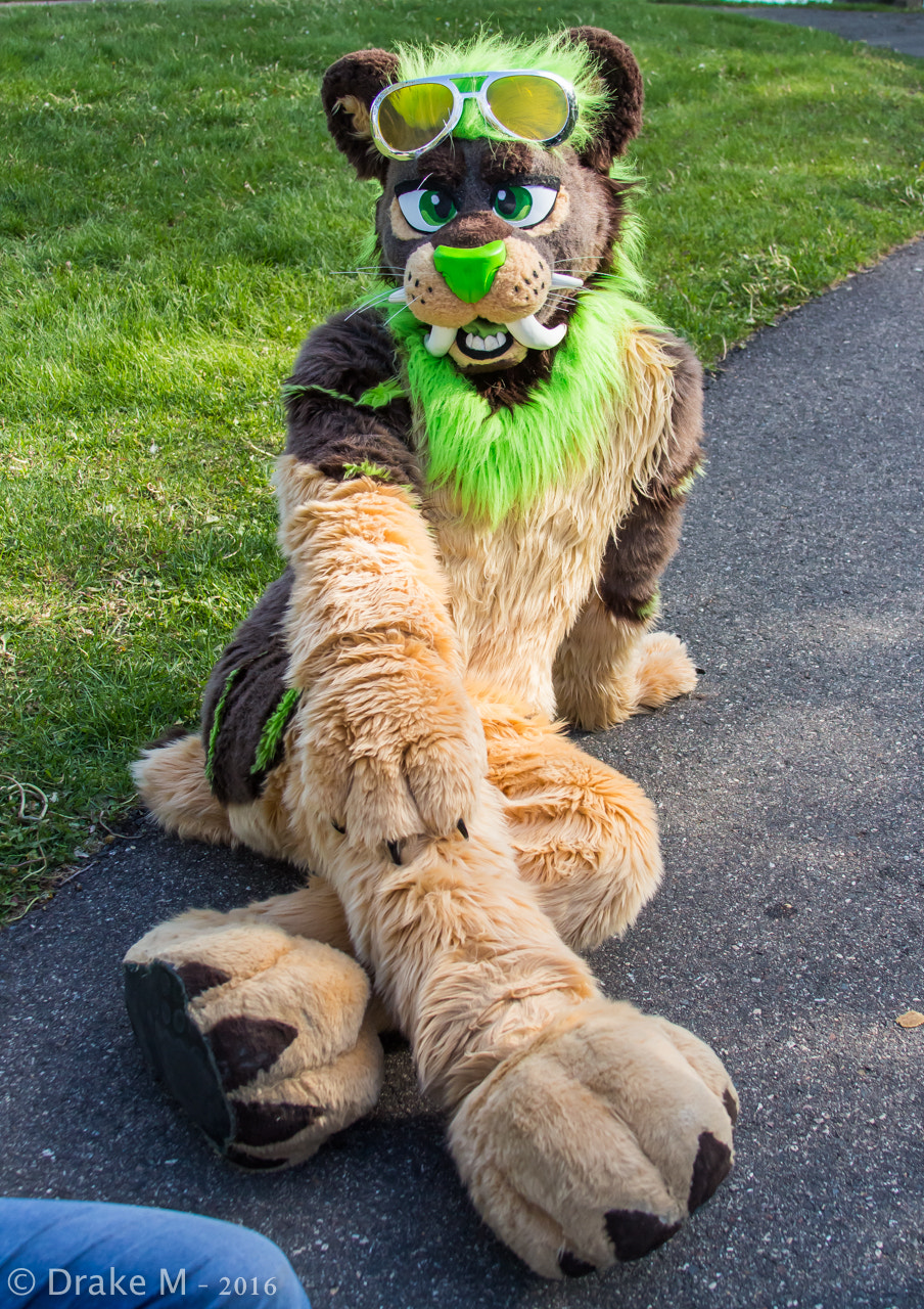 Canon EF 28-135mm F3.5-5.6 IS USM sample photo. Mnfurs 2-16 spring picnic photography