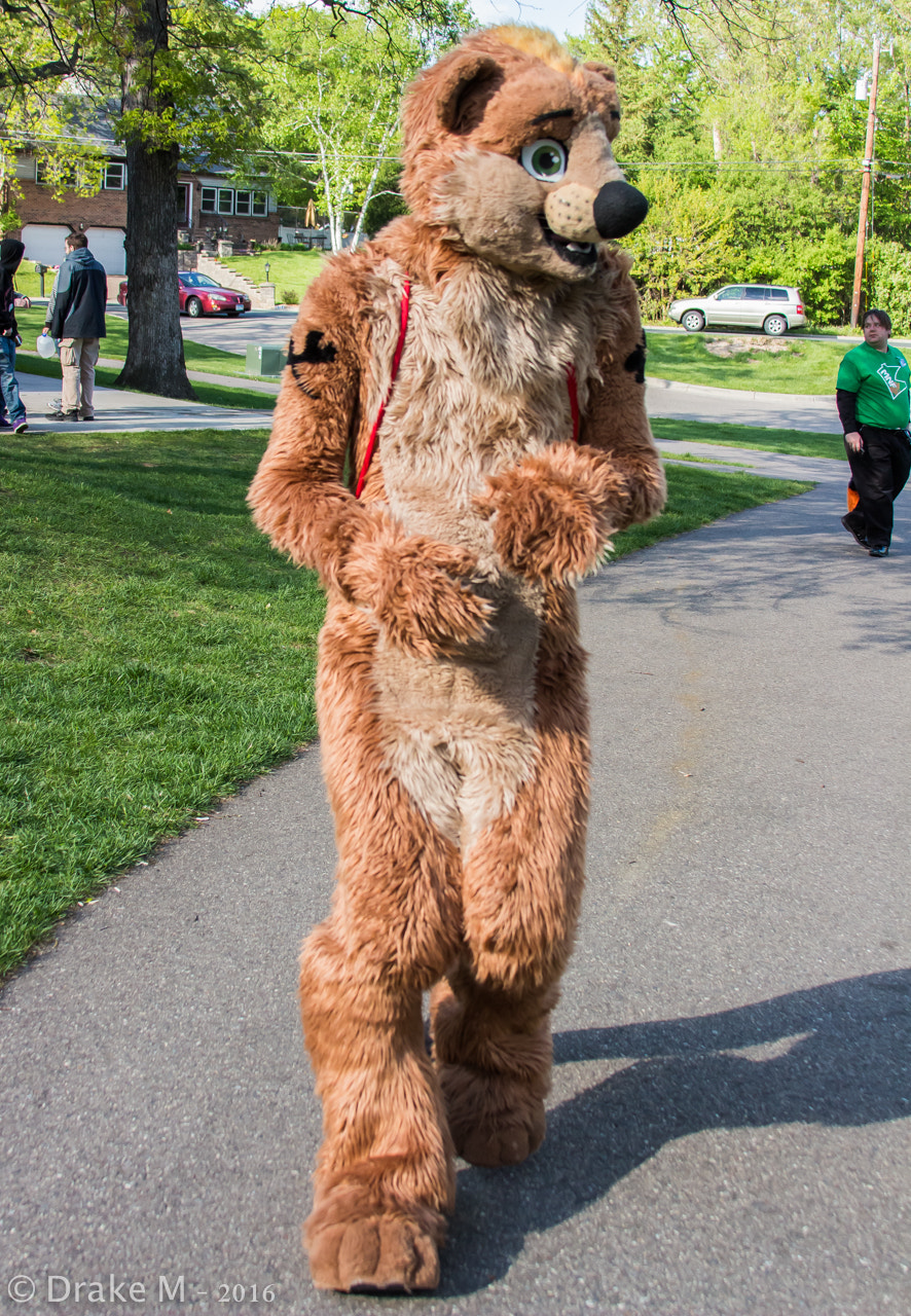 Canon EF 28-135mm F3.5-5.6 IS USM sample photo. Mnfurs 2-16 spring picnic photography