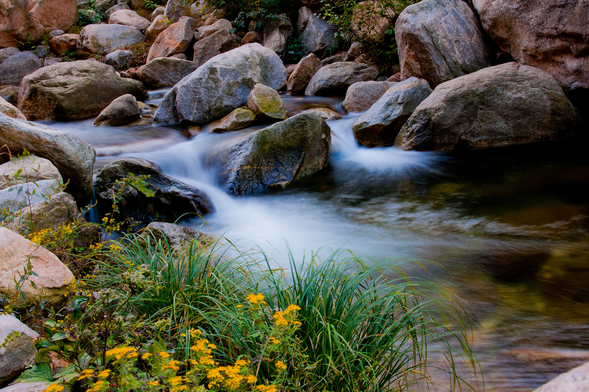 Sony Alpha DSLR-A700 sample photo. 水 photography