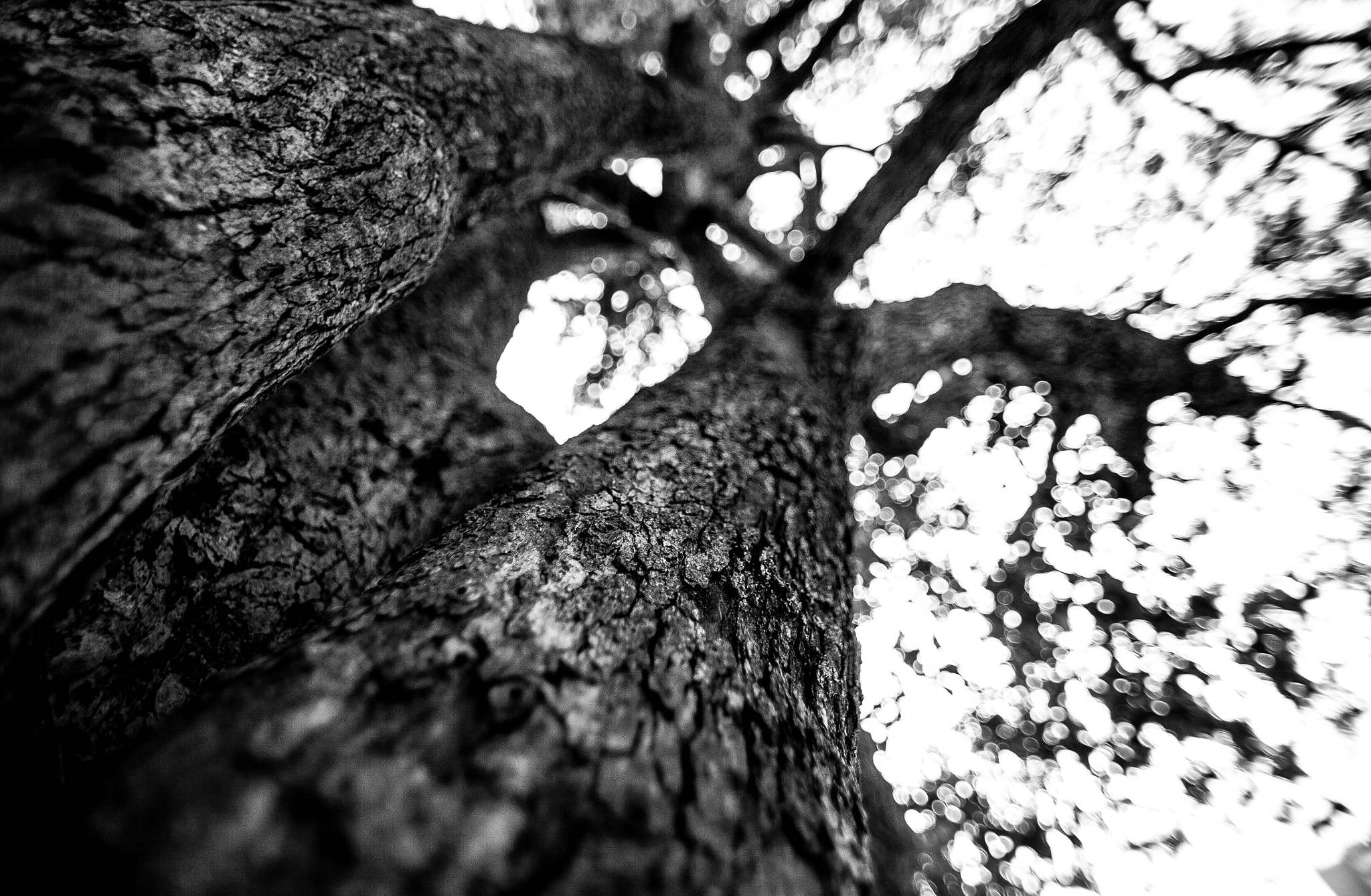 Canon EOS 5D sample photo. The light photography