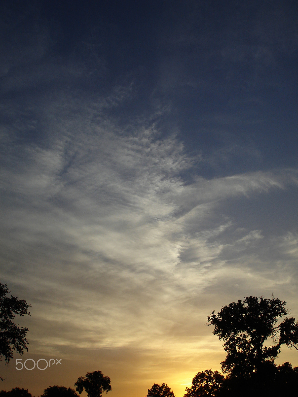 Sony DSC-W7 sample photo. Texas sun photography