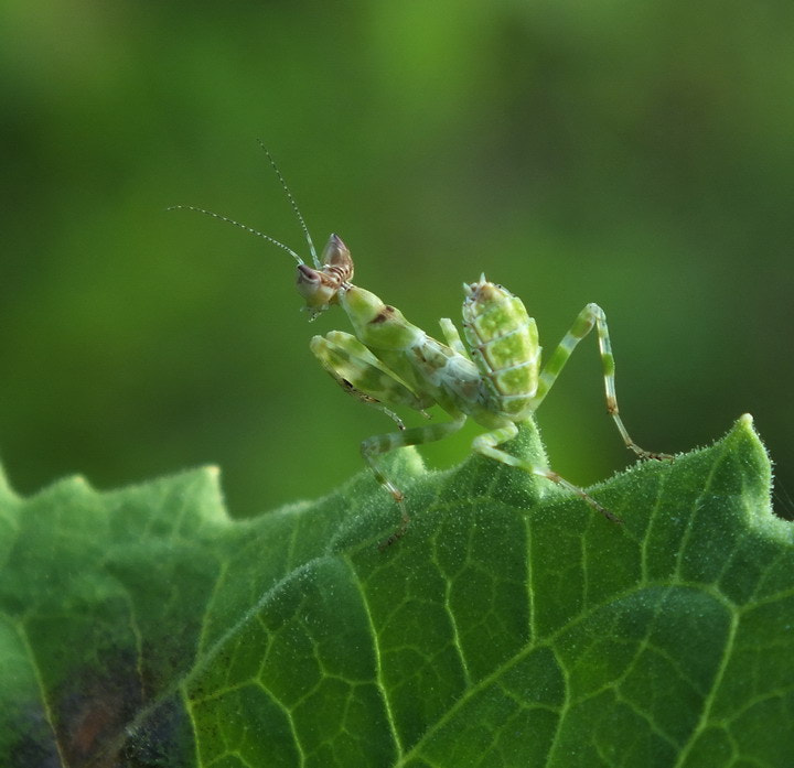 FujiFilm FinePix HS20 EXR (FinePix HS22 EXR) sample photo. 双刀客 photography