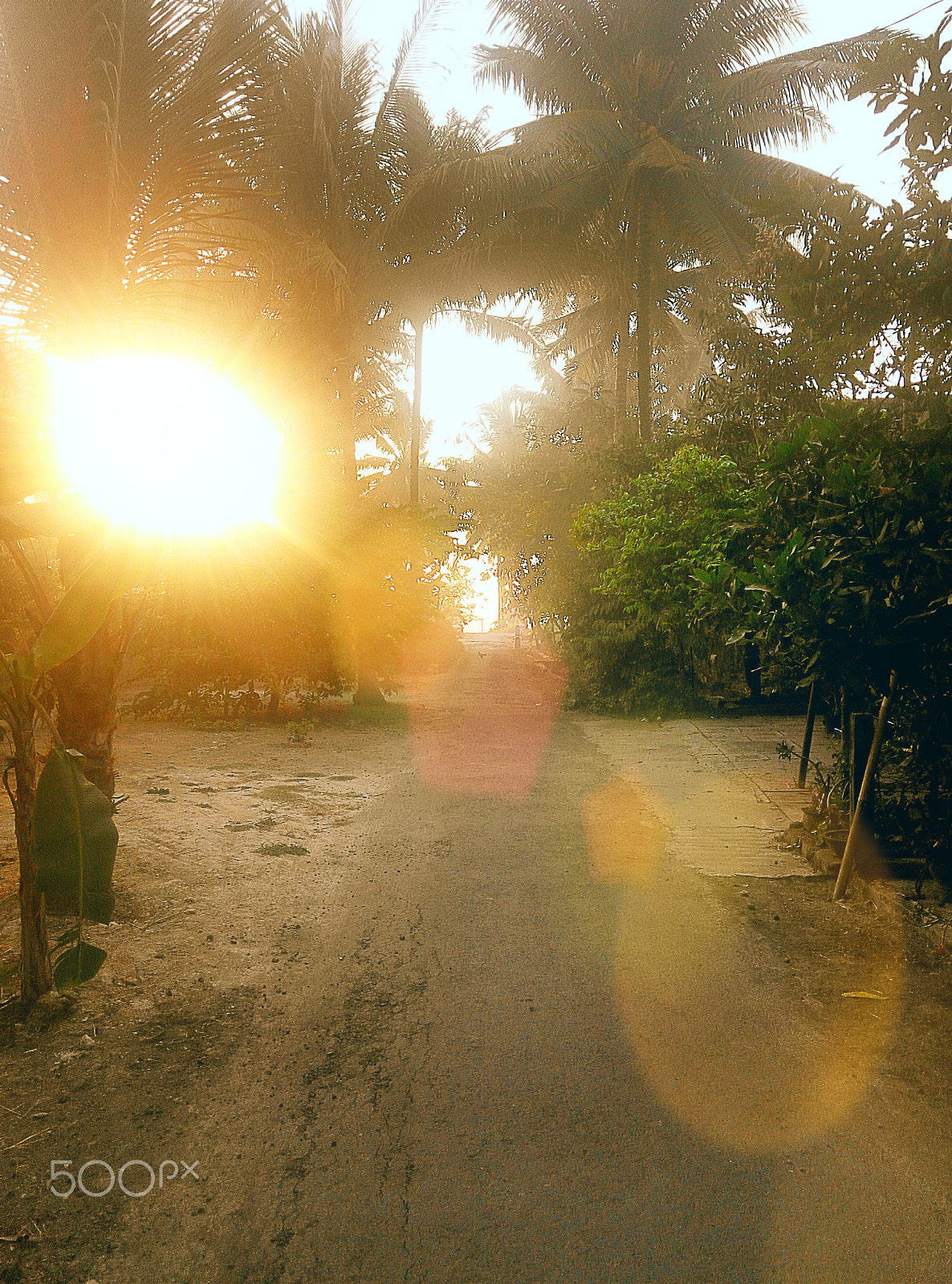 Xiaomi HM NOTE sample photo. Morning light at wates photography