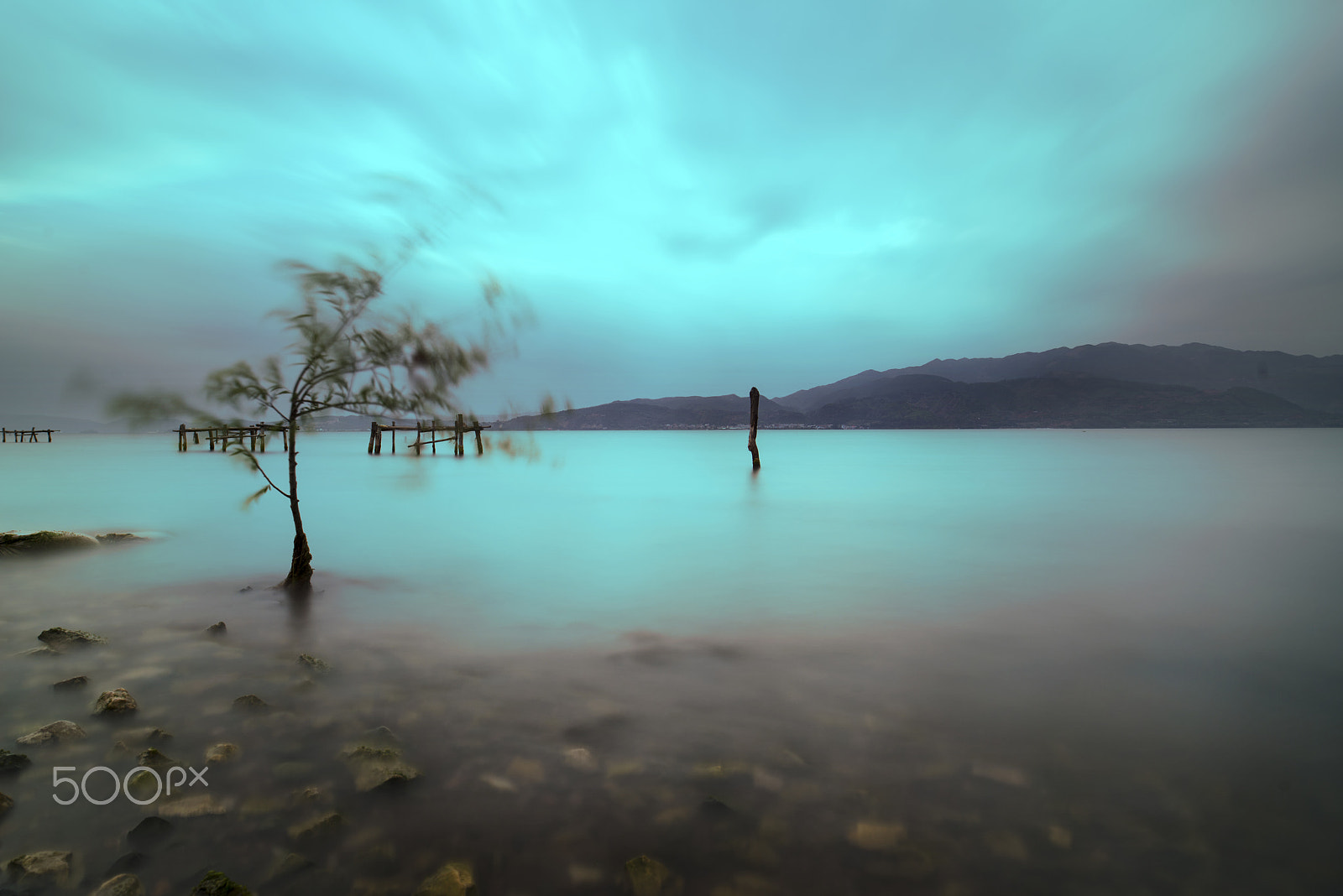 Nikon D800E sample photo. Dream fuxian lake photography