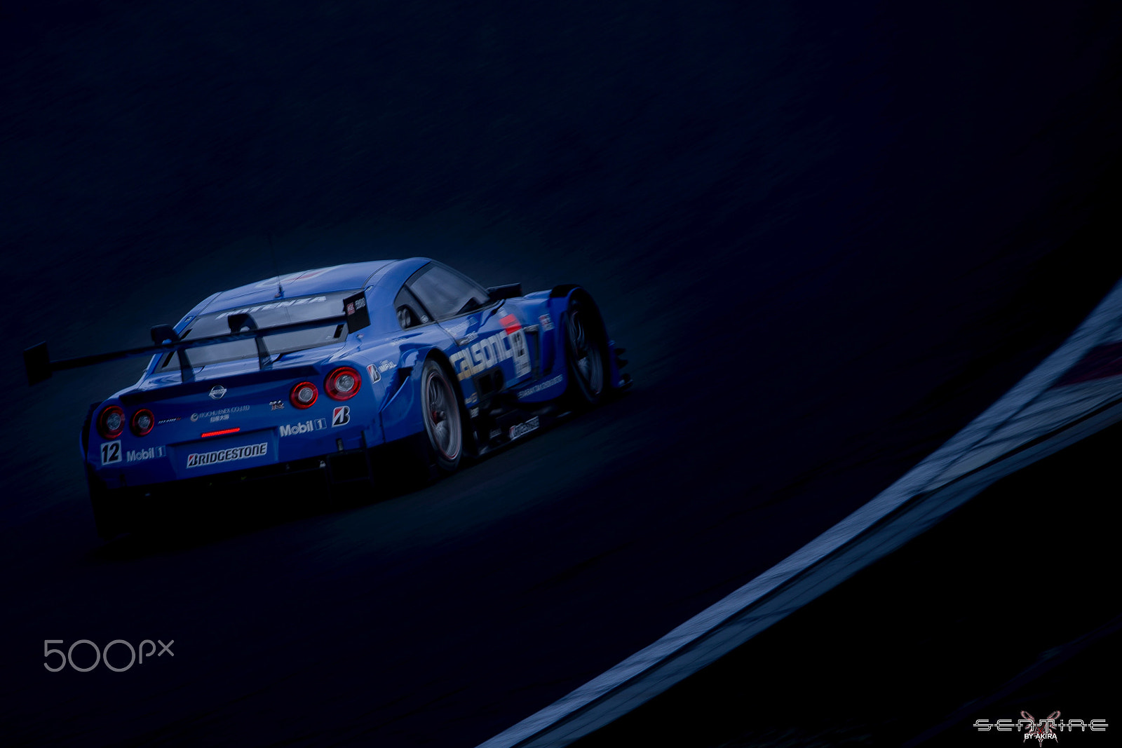 Sigma 150-600mm F5-6.3 DG OS HSM | C sample photo. Spot light photography