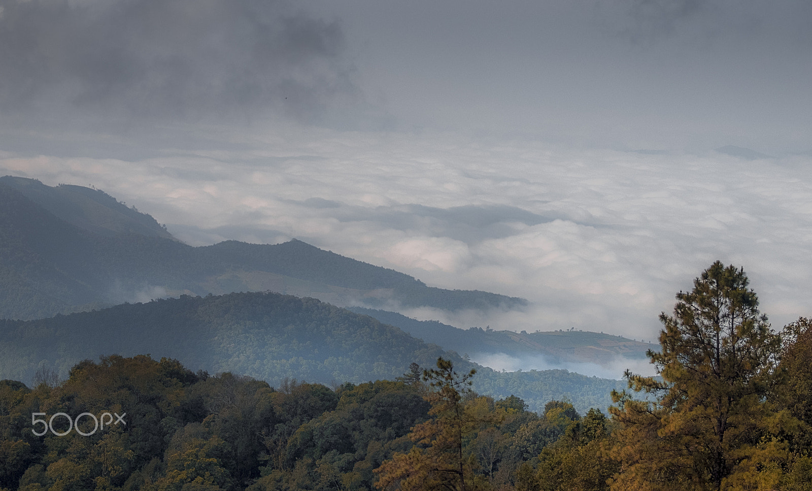 Fujifilm X-M1 + Fujifilm XC 50-230mm F4.5-6.7 OIS sample photo. Sea of mist photography