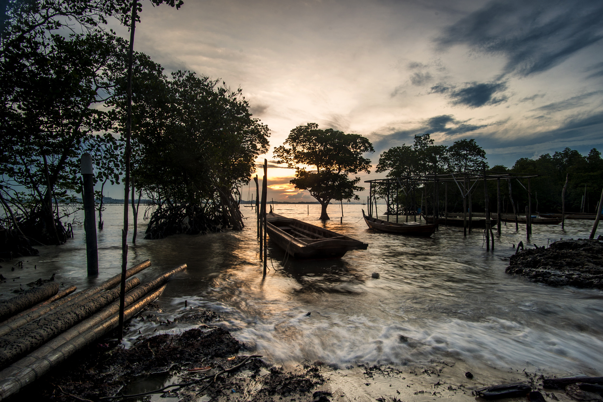 Nikon D700 + Tamron SP AF 17-35mm F2.8-4 Di LD Aspherical (IF) sample photo. Sunset from mangrove forest photography
