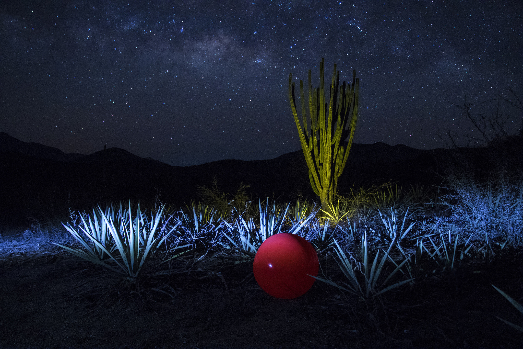 Canon EF-S 18-135mm F3.5-5.6 IS STM sample photo. San pedro taviche photography