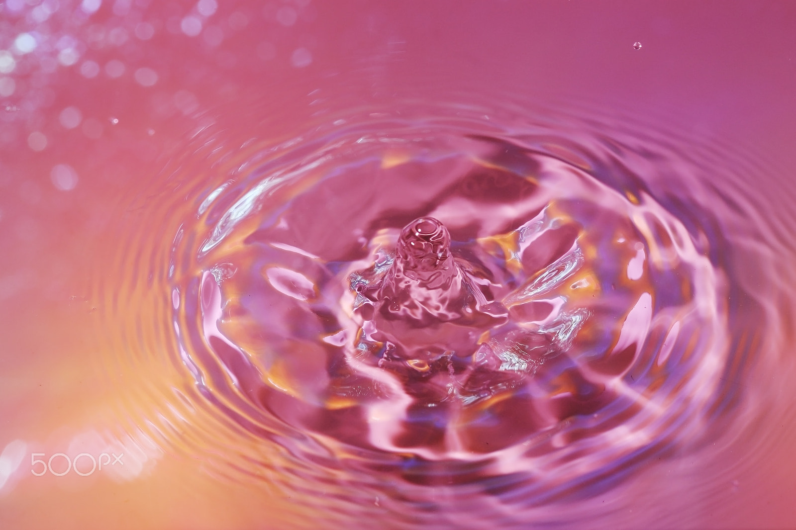 Canon EOS 6D + Canon EF 100mm F2.8 Macro USM sample photo. A water drop droplet photography