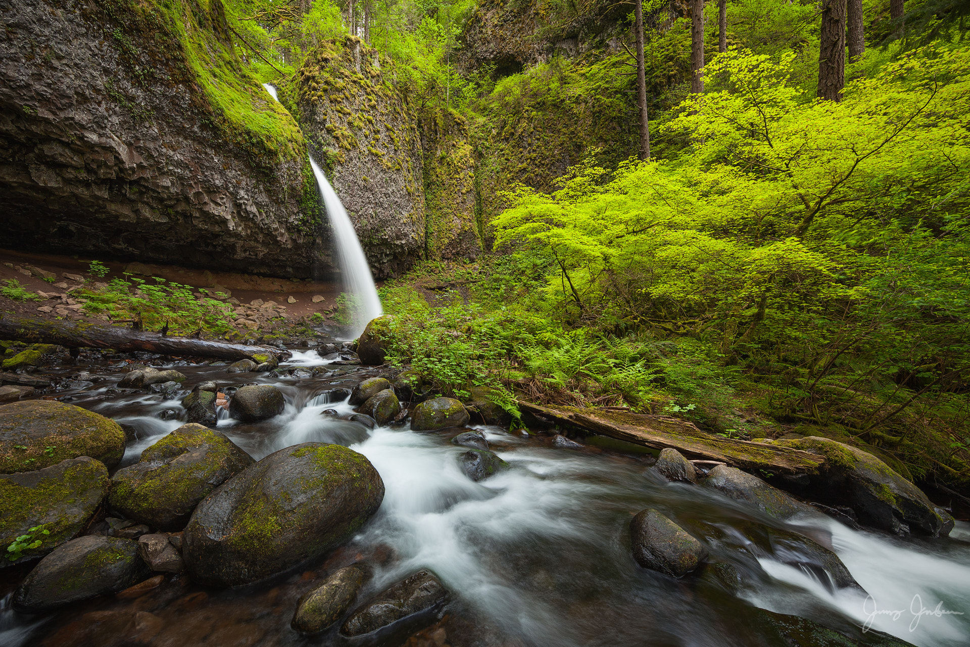 Canon EF 11-24mm F4L USM sample photo. Springtime in the gorge photography