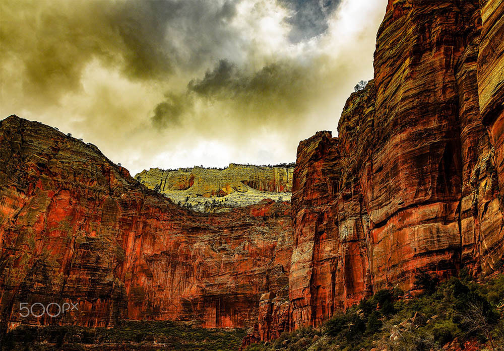 Hasselblad H5D + HC 35 sample photo. Zion canyon photography