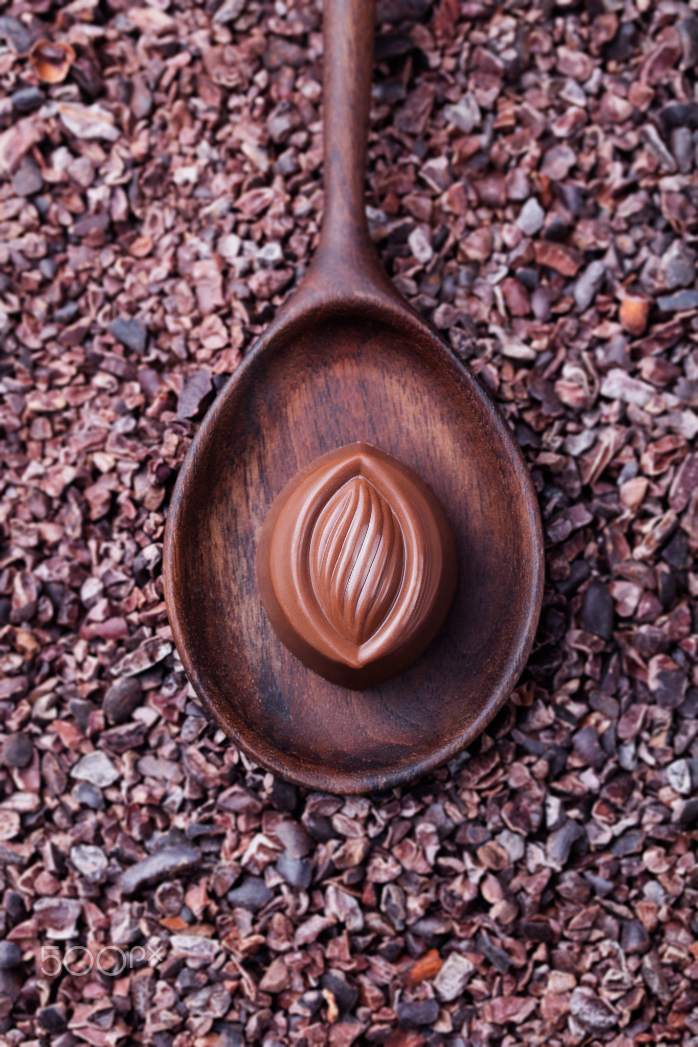 Chocolate candy in a wooden spoon on a crushed raw cocoa beans, nibs background. Copy space. Top...