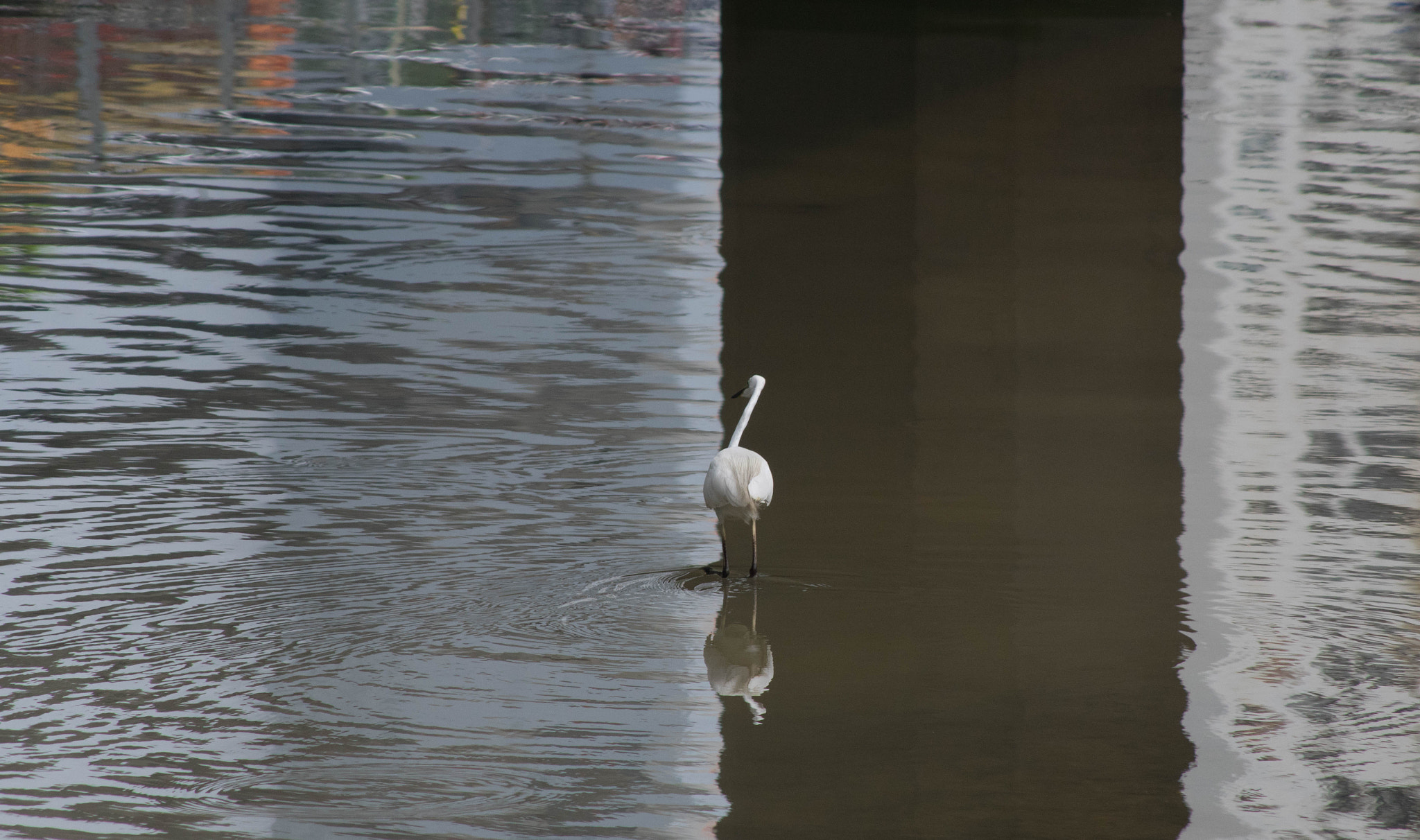 smc PENTAX-DA L 55-300mm F4-5.8 ED sample photo. Boundary photography