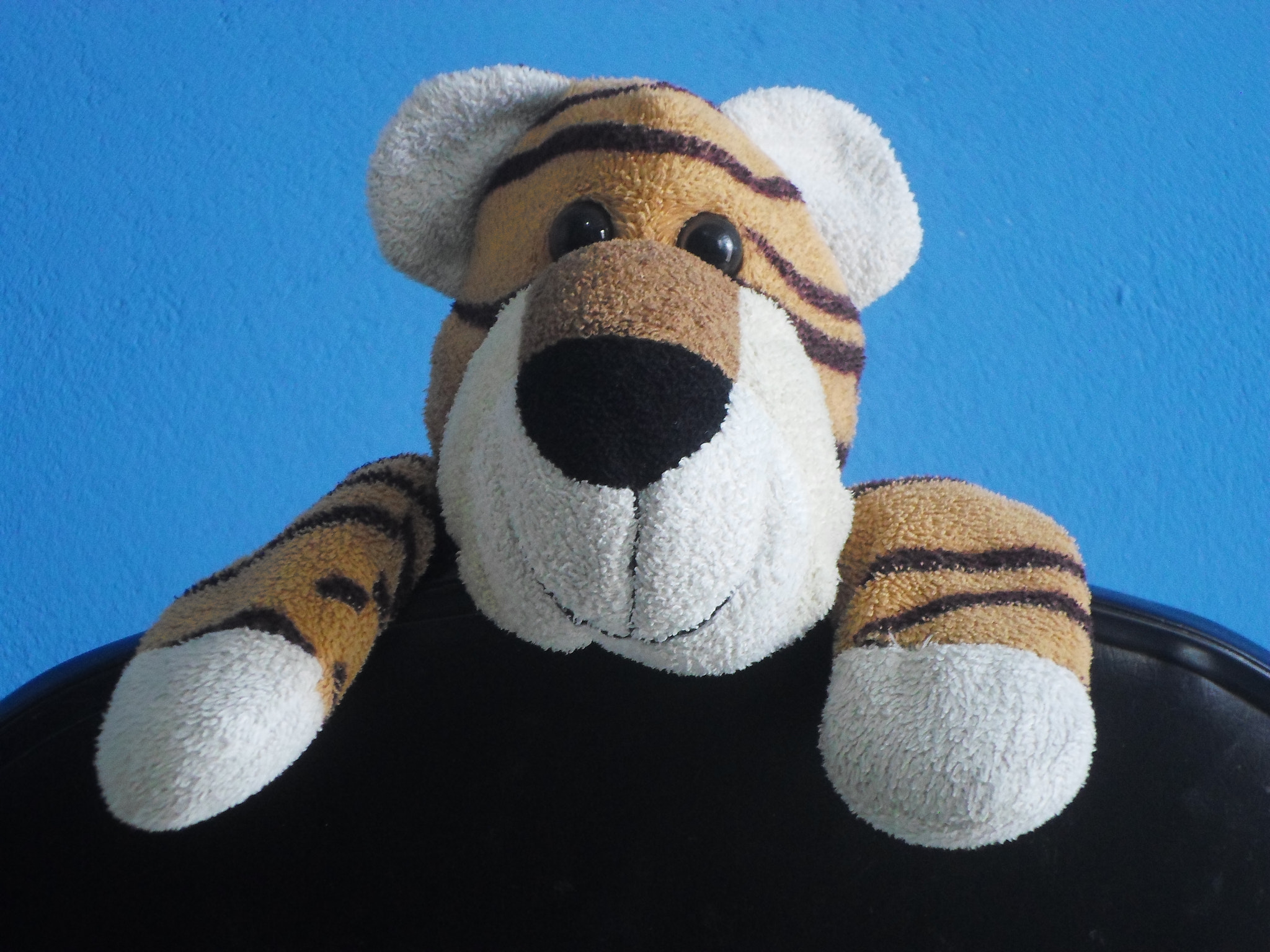 Samsung ES95 sample photo. Happy tiger. photography