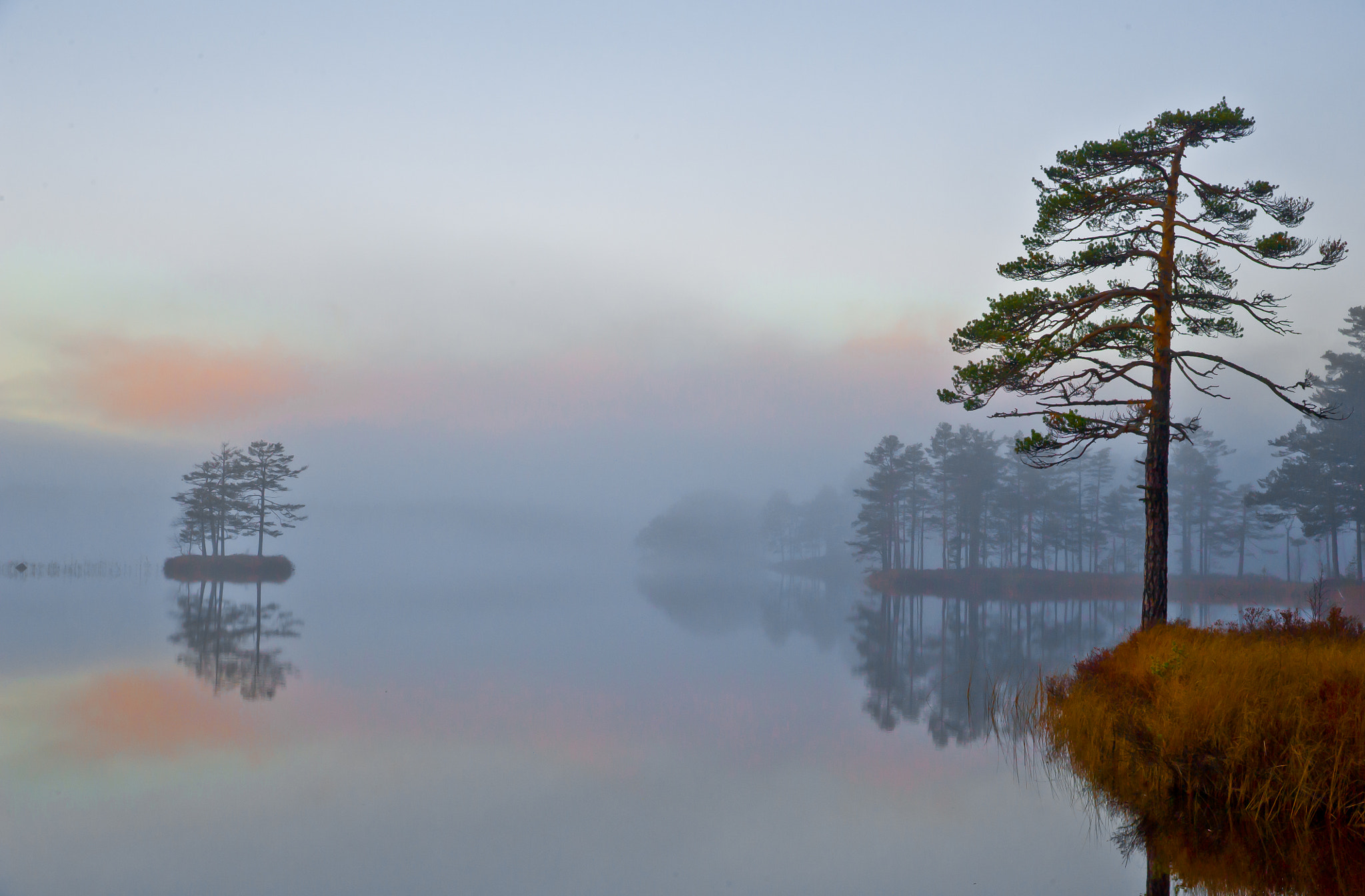 Nikon D3S sample photo. Fog on lake damvatn photography
