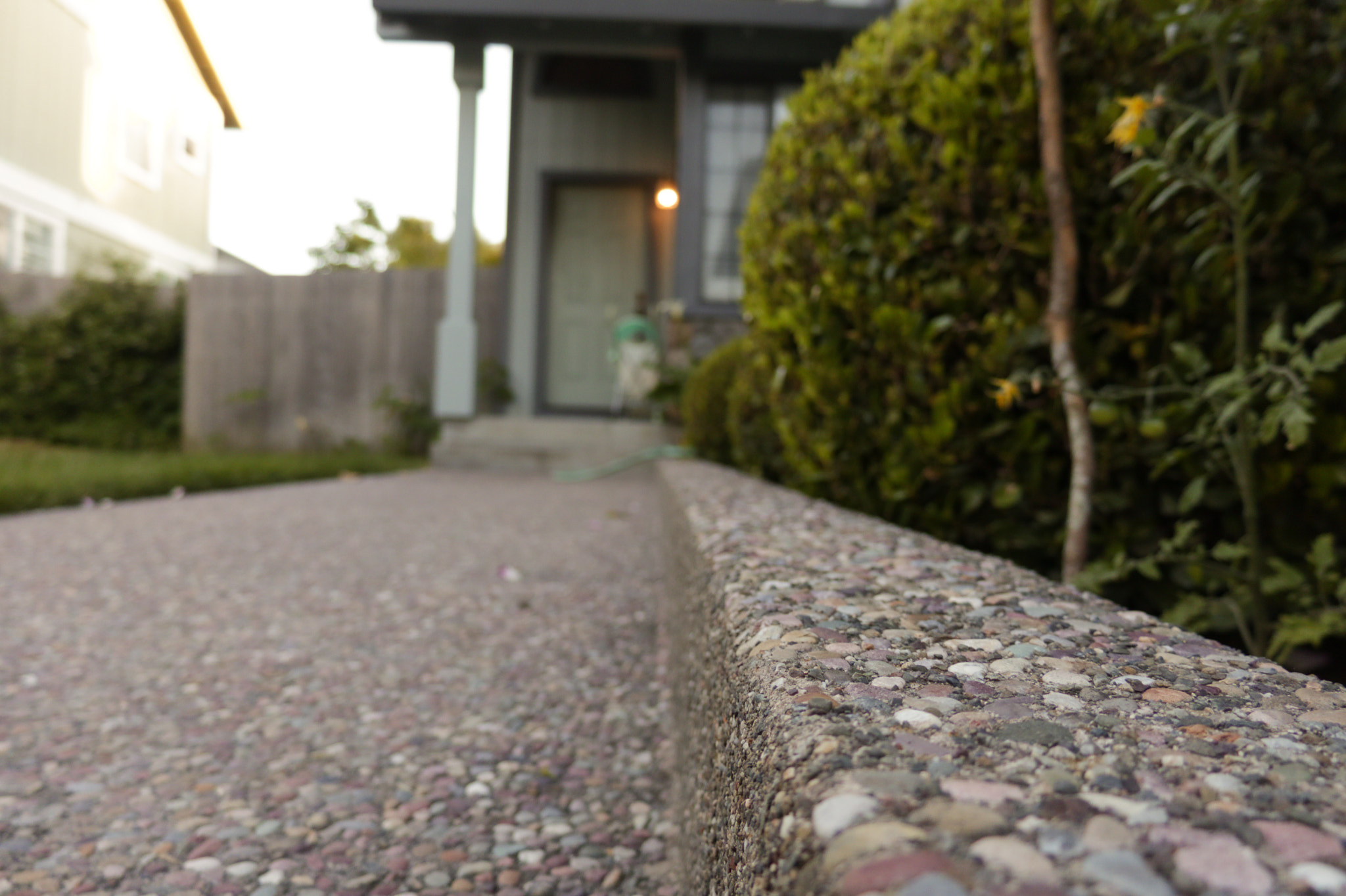Canon XC10 sample photo. Ground level view photography