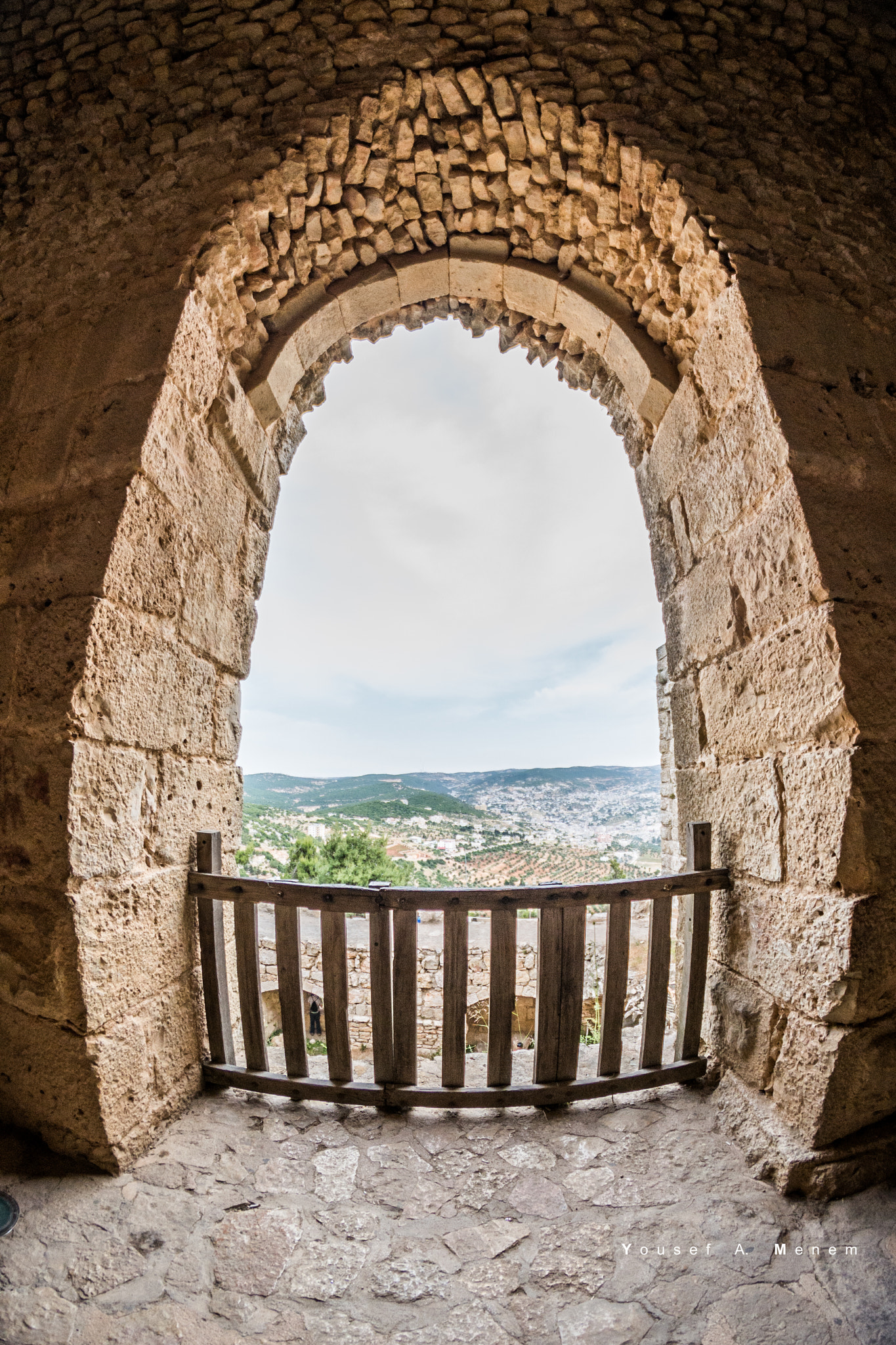 Nikon D600 + Samyang 8mm F3.5 Aspherical IF MC Fisheye sample photo. Deep view from ajloun castle, jordan photography