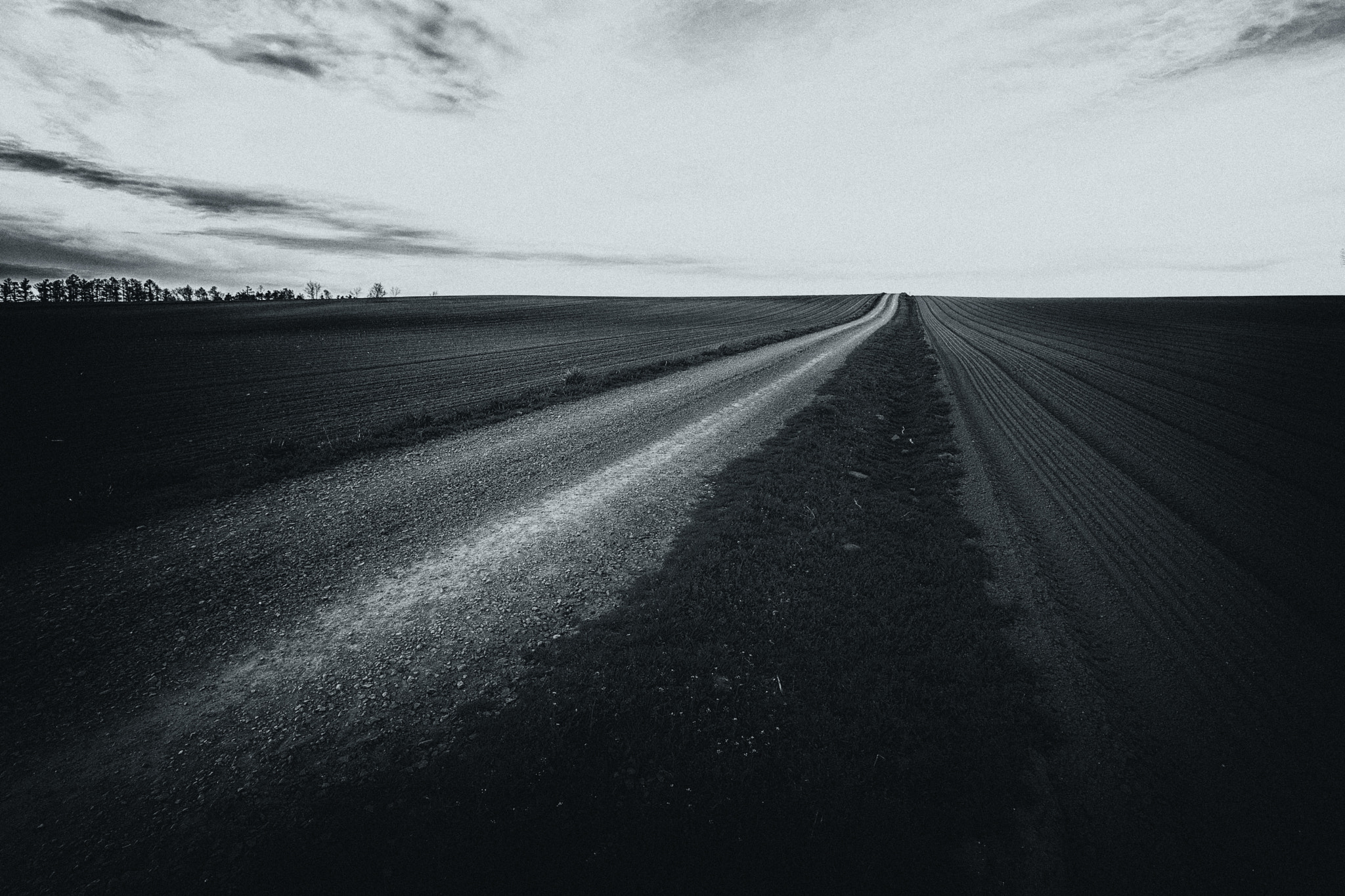 15mm F2.8 sample photo. Field photography