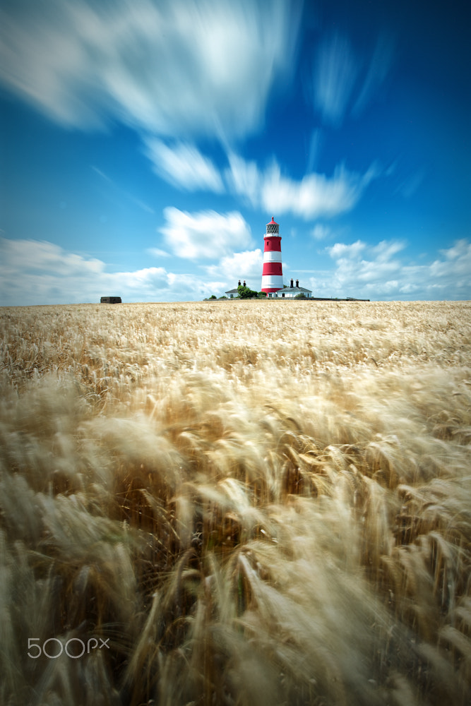 Nikon PC-E Nikkor 24mm F3.5D ED Tilt-Shift sample photo. Happisburgh lighthouse photography