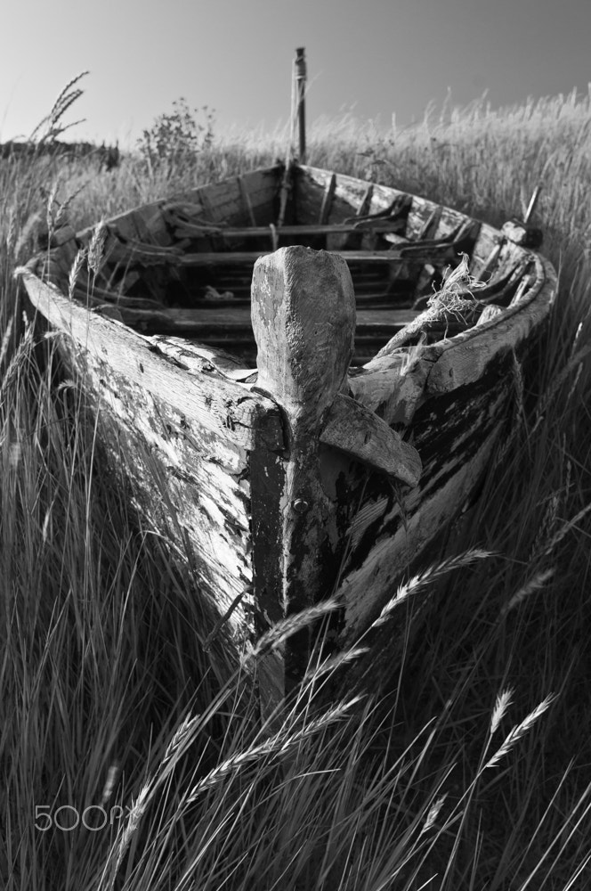 Nikon D300S sample photo. Run aground photography
