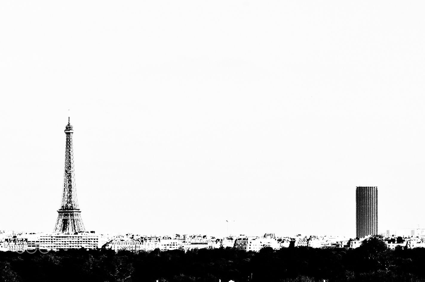 Nikon D300 + Tamron SP AF 17-50mm F2.8 XR Di II VC LD Aspherical (IF) sample photo. The two towers of paris photography