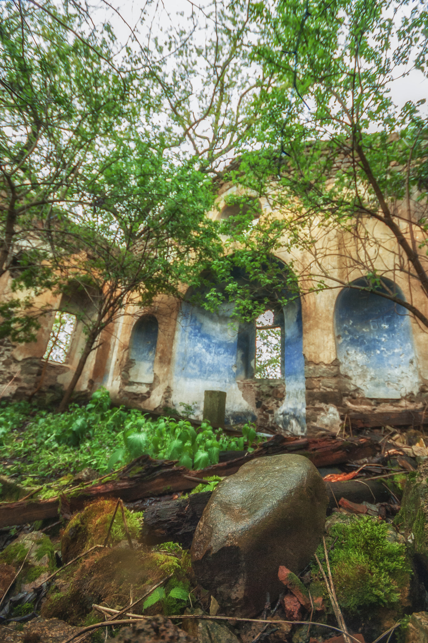 Nikon D70 sample photo. Old church photography