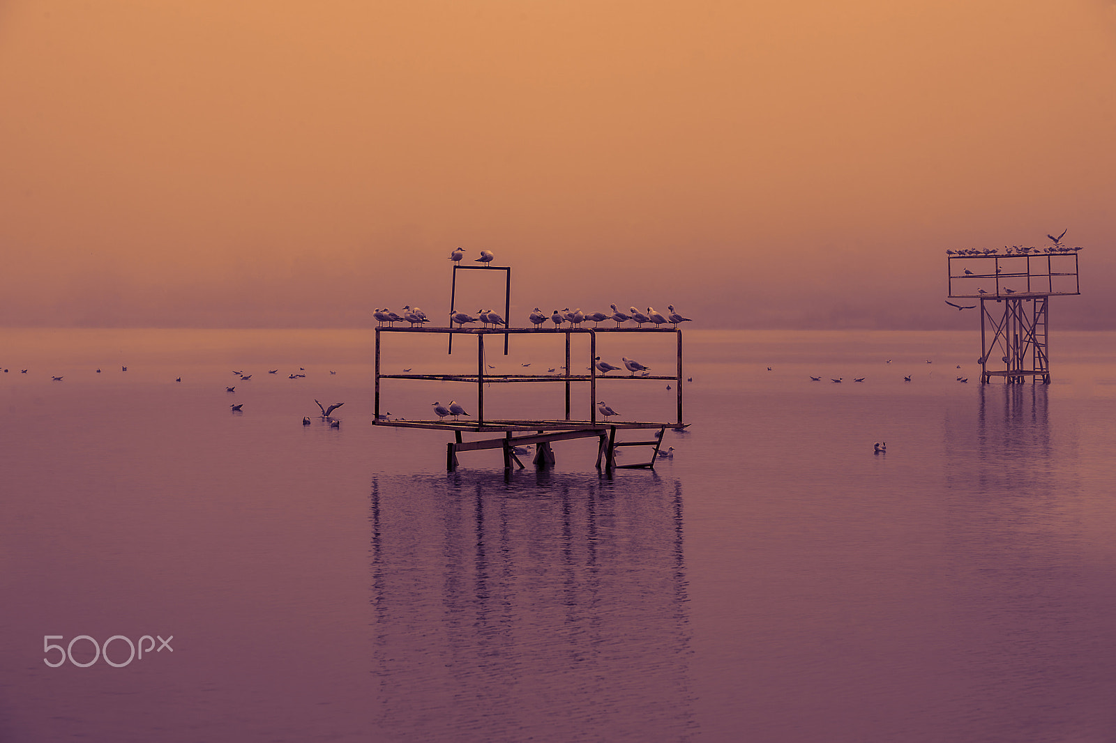 Canon EOS 5D sample photo. Sleeping hour... photography